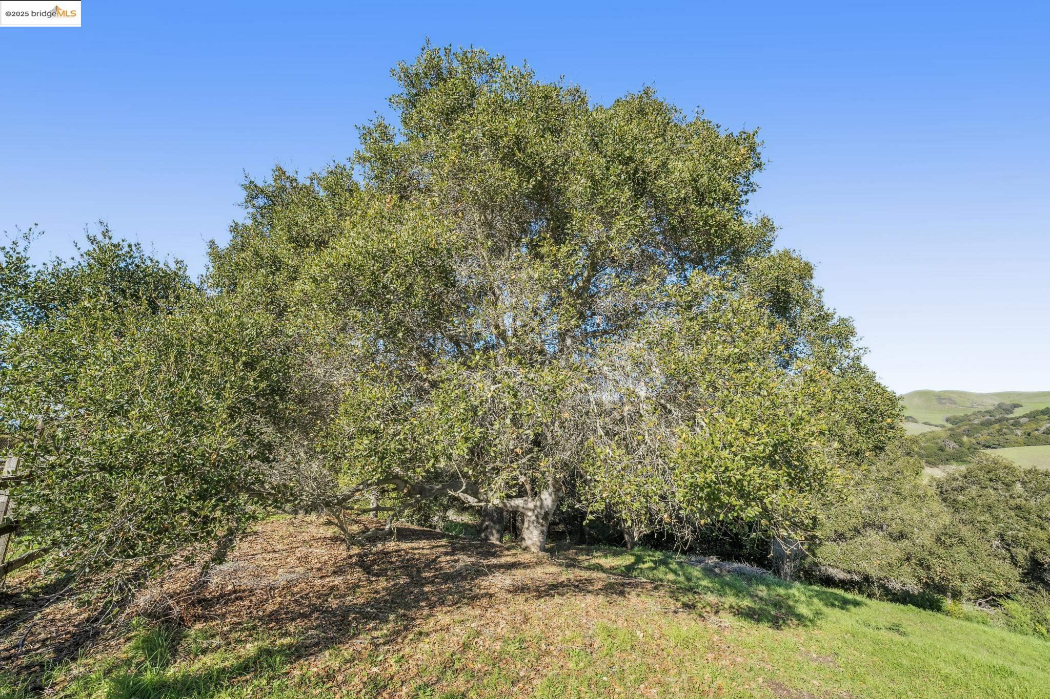 Detail Gallery Image 9 of 53 For 0 Fairview Ave, Richmond,  CA 94805 - – Beds | – Baths