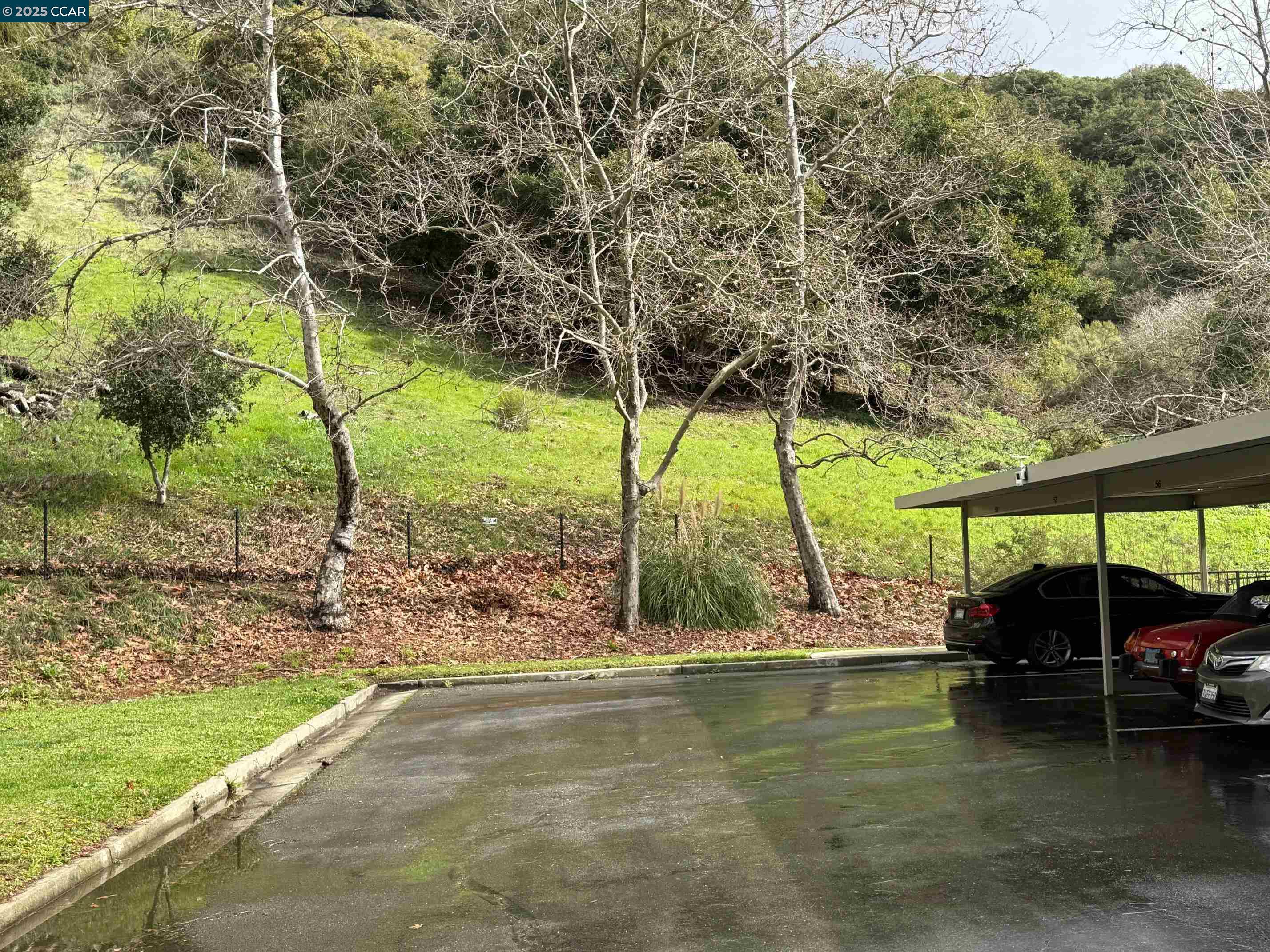 760 Canyon Oaks Dr # D, Oakland, California 94605, 2 Bedrooms Bedrooms, 4 Rooms Rooms,2 BathroomsBathrooms,Residential,For Sale,760 Canyon Oaks Dr # D,41085185