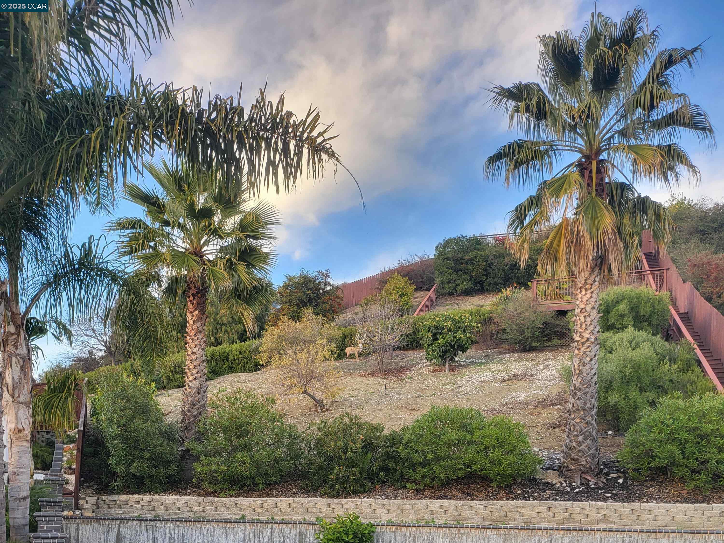 Detail Gallery Image 2 of 7 For Darius Way, San Leandro,  CA 94577 - – Beds | – Baths
