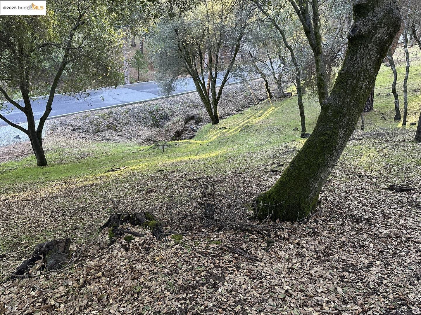 12944 Wells Fargo Dr, Groveland CA 95321 — photo 2
