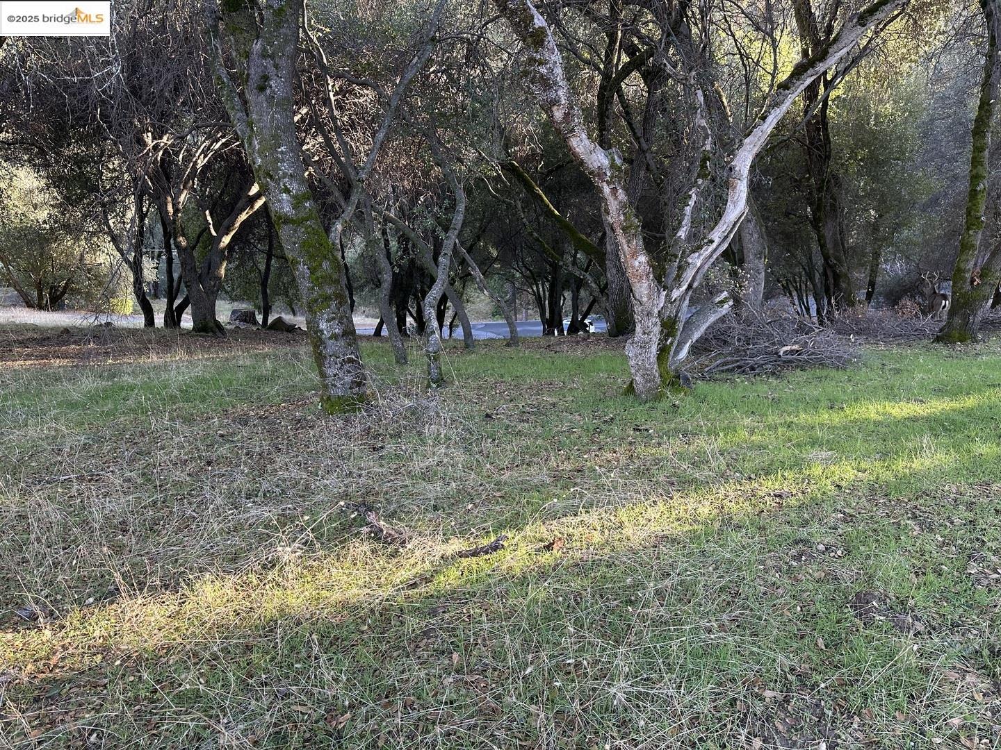 12944 Wells Fargo Dr, Groveland CA 95321 — photo 3
