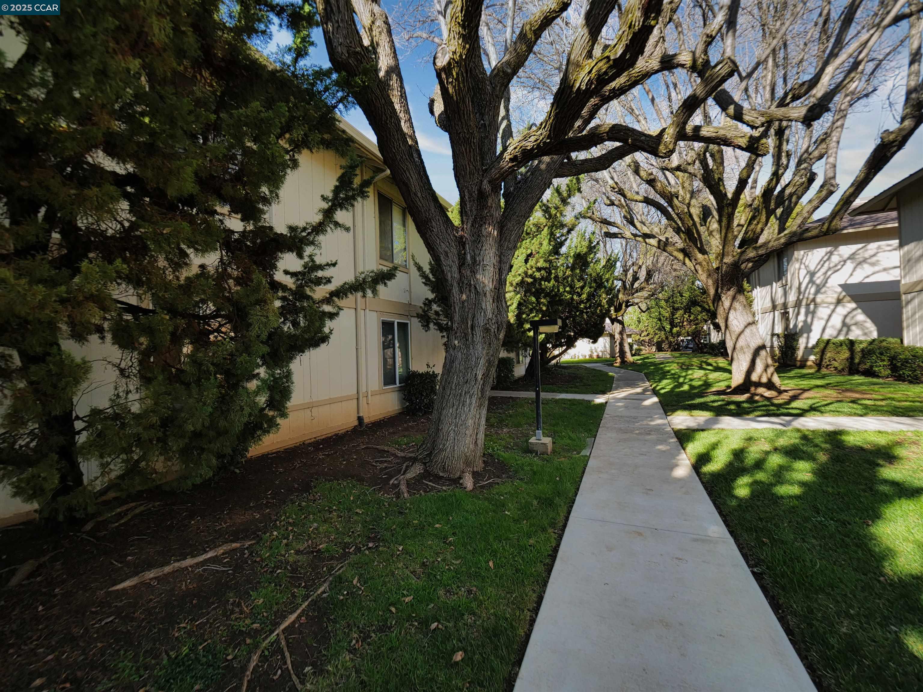 Photo #49: 41085422 Listing: Photo #49