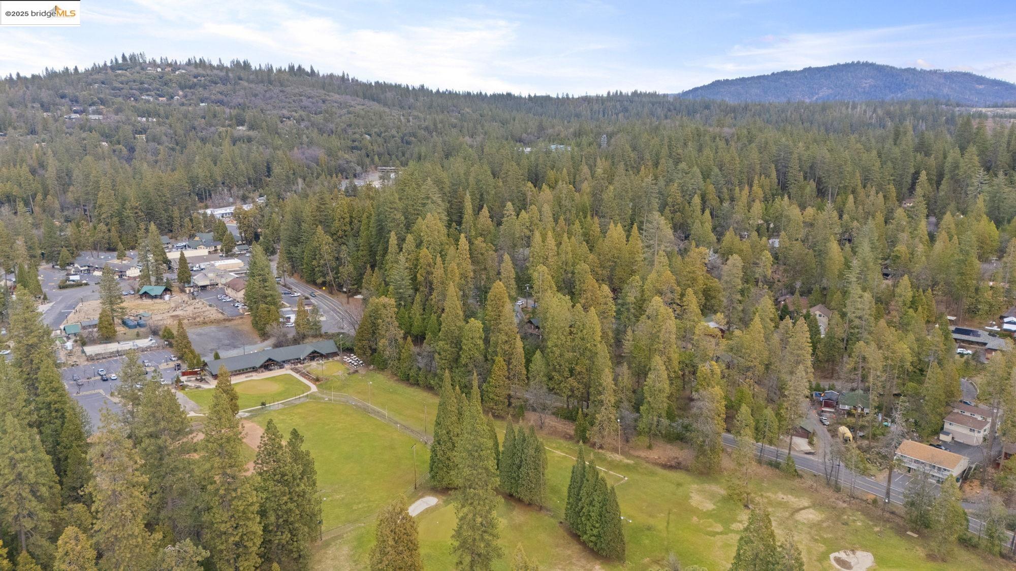 Detail Gallery Image 46 of 52 For 22782 Golf Club Drive, Twain Harte,  CA 95383 - 3 Beds | 2 Baths