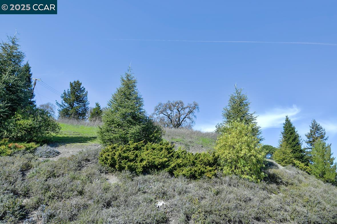 Photo #3: 41085896 Listing 