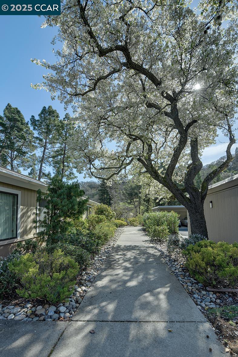 Photo #4: 41085896 Listing 