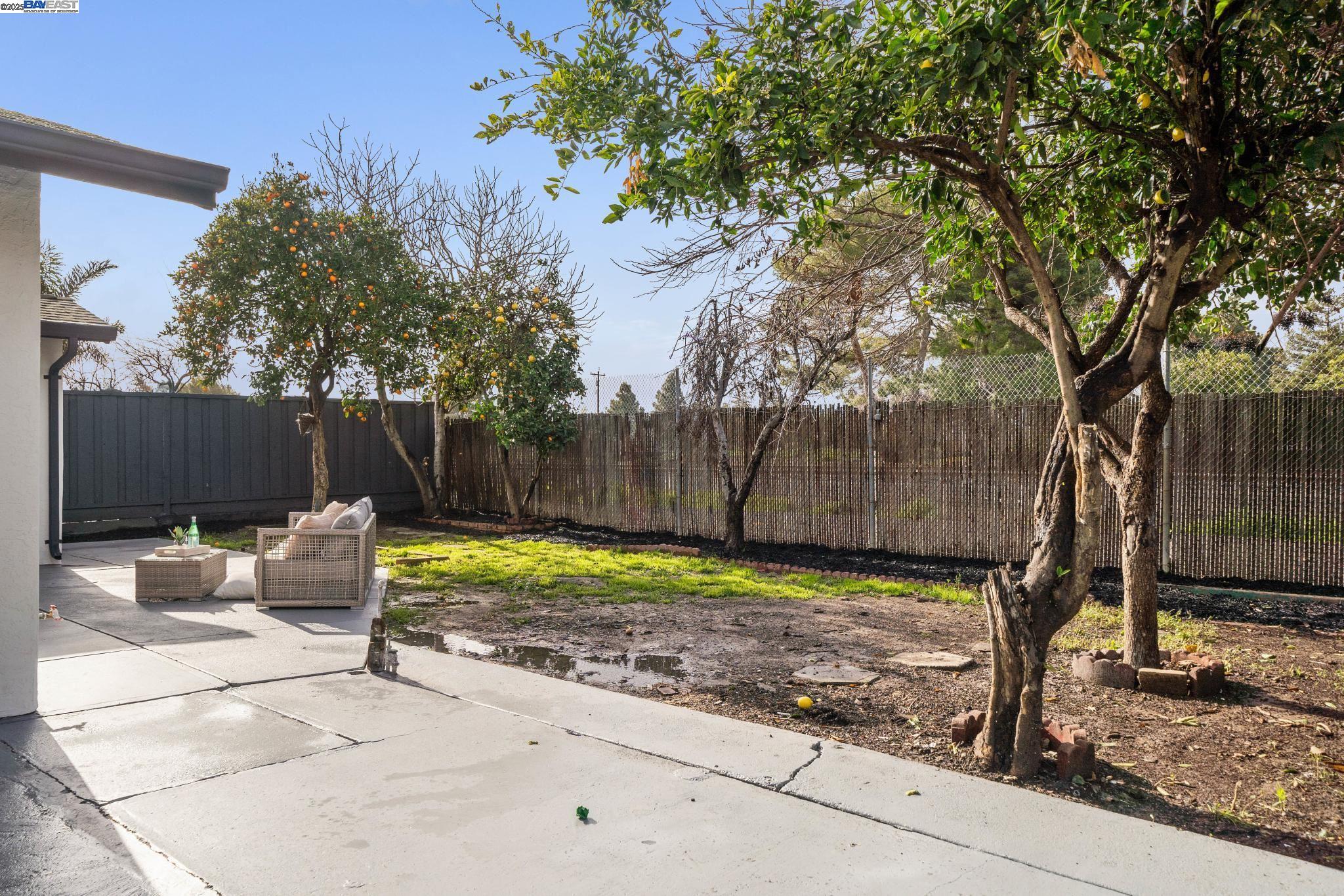 6181 Cotton Ave, Newark, California 94560, 3 Bedrooms Bedrooms, 6 Rooms Rooms,2 BathroomsBathrooms,Residential,For Sale,6181 Cotton Ave,41085938