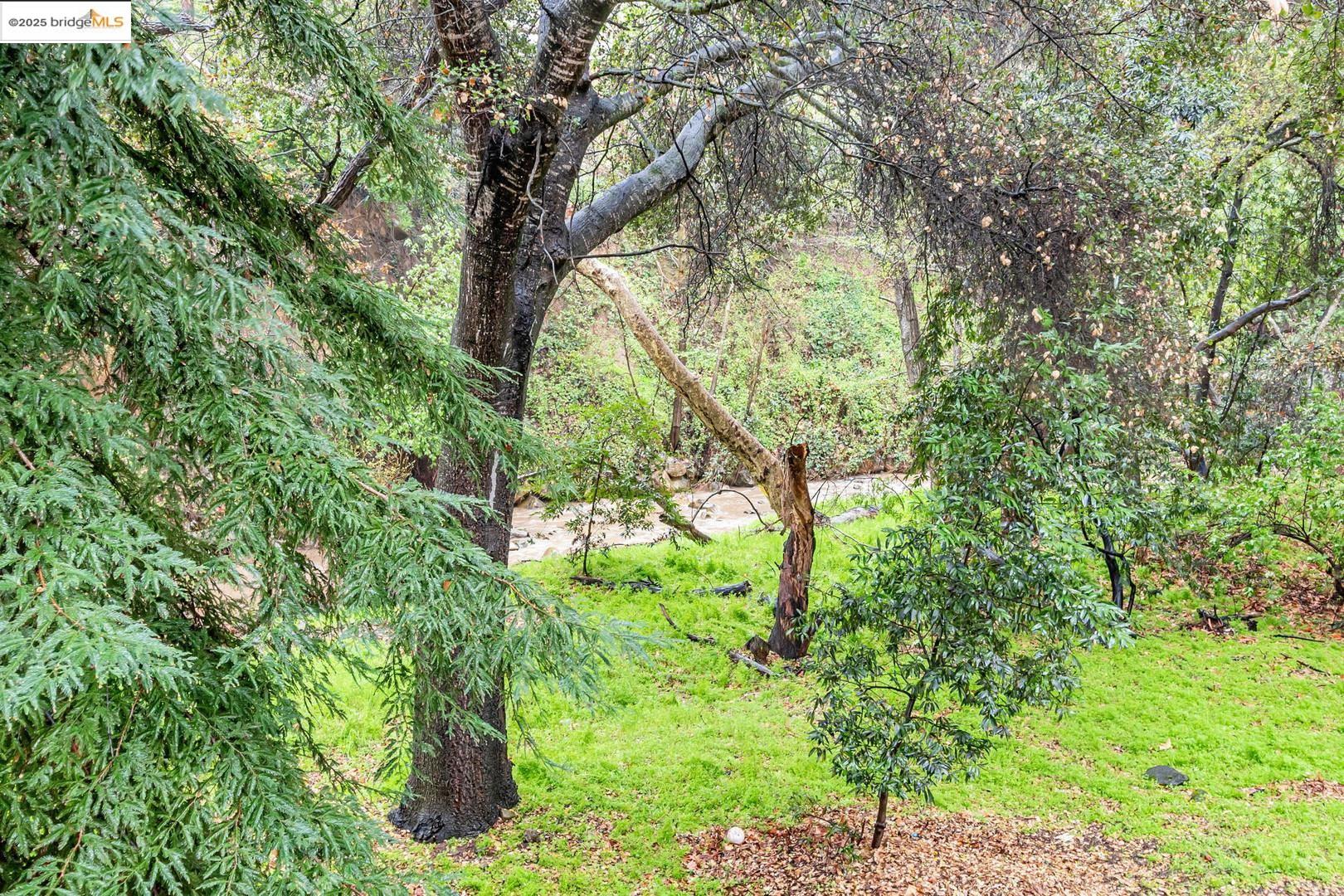 Detail Gallery Image 55 of 60 For 20812 4th St #6,  Saratoga,  CA 95070 - 2 Beds | 2 Baths