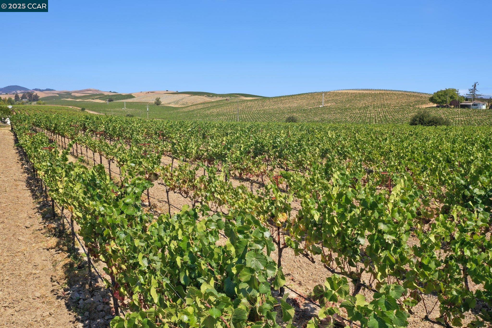 Detail Gallery Image 15 of 59 For 5267 Old Sonoma Rd, Napa,  CA 94559 - 5 Beds | 3/1 Baths