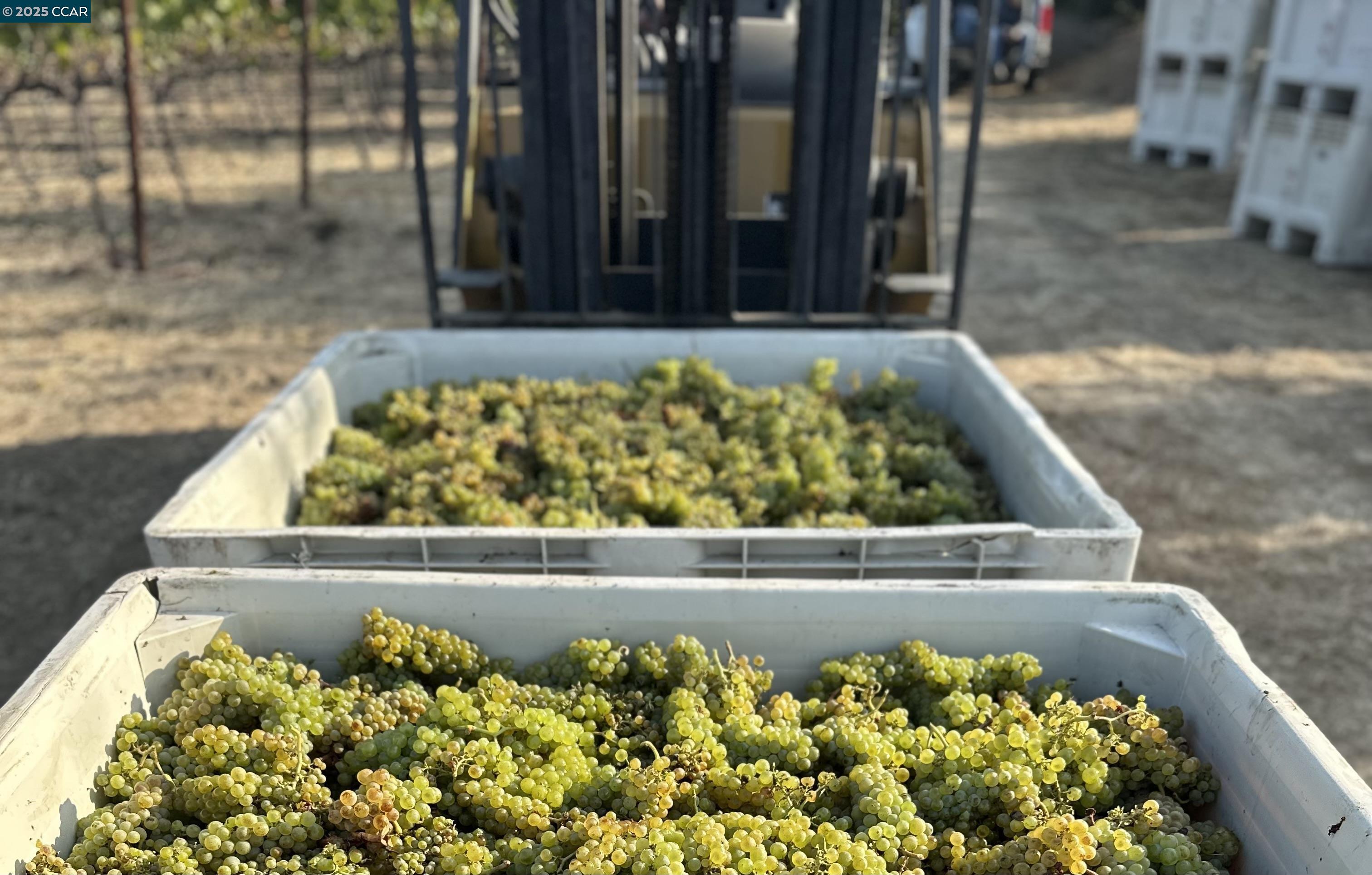 Detail Gallery Image 16 of 59 For 5267 Old Sonoma Rd, Napa,  CA 94559 - 5 Beds | 3/1 Baths