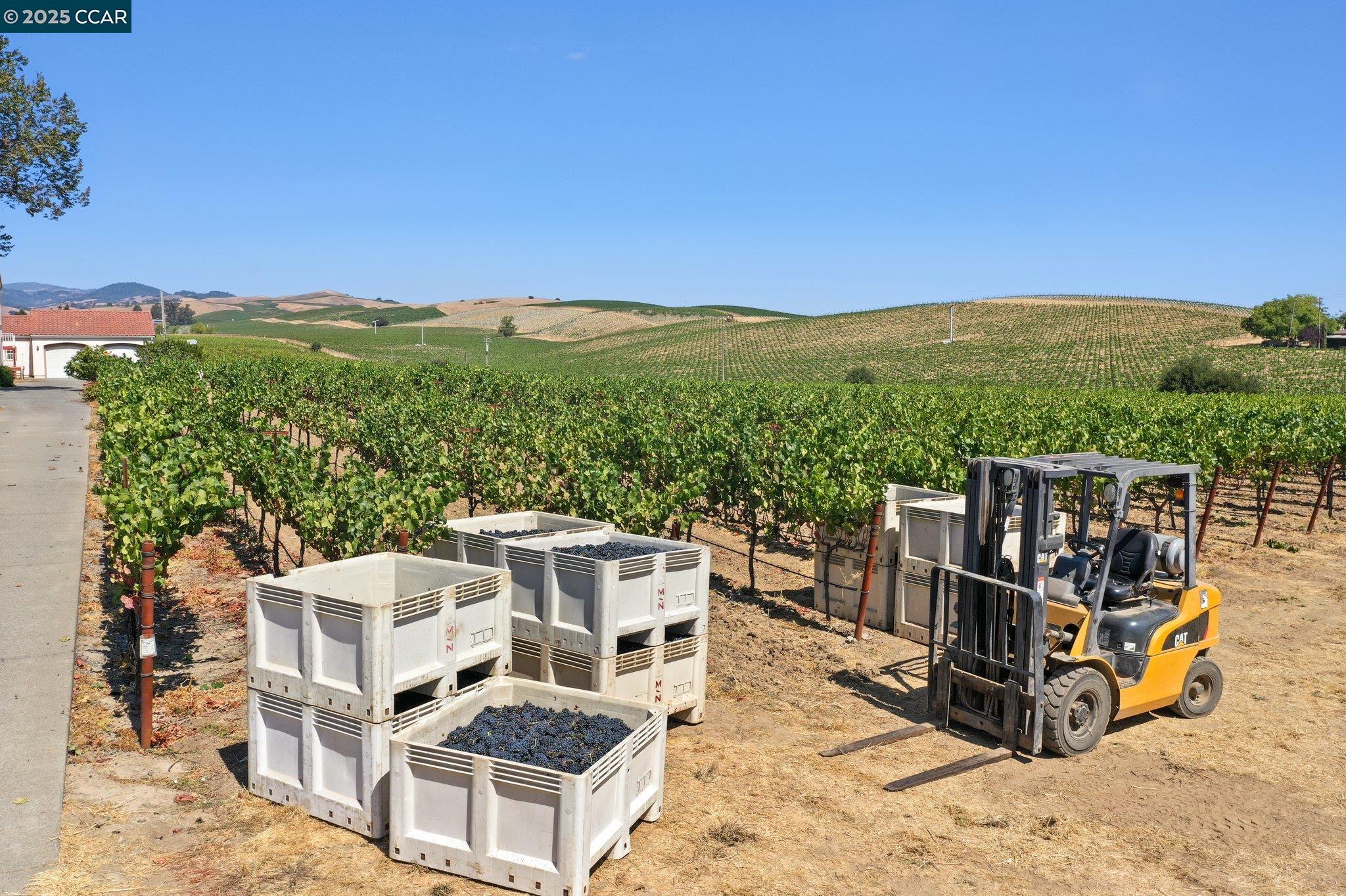 Detail Gallery Image 21 of 59 For 5267 Old Sonoma Rd, Napa,  CA 94559 - 5 Beds | 3/1 Baths