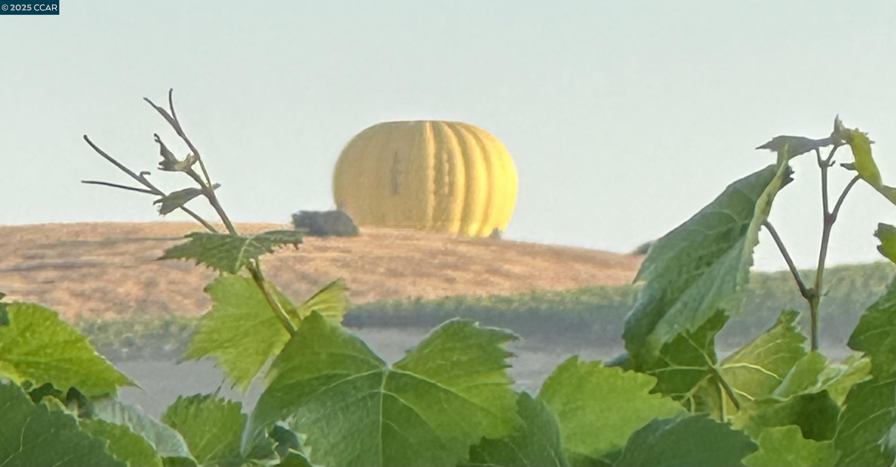 Detail Gallery Image 26 of 59 For 5267 Old Sonoma Rd, Napa,  CA 94559 - 5 Beds | 3/1 Baths