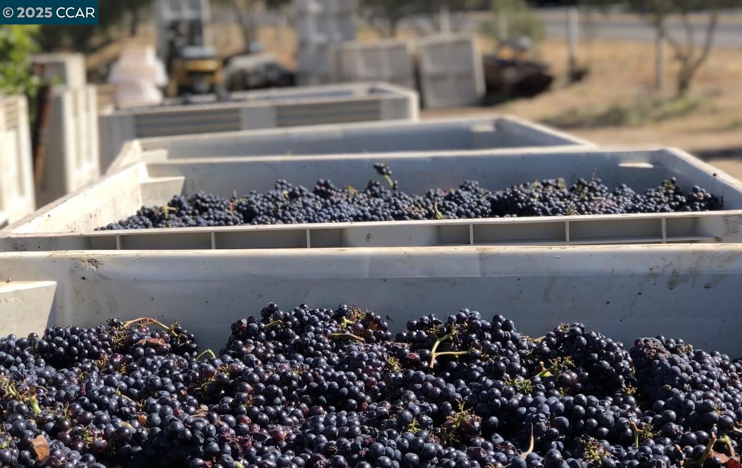 Detail Gallery Image 4 of 59 For 5267 Old Sonoma Rd, Napa,  CA 94559 - 5 Beds | 3/1 Baths