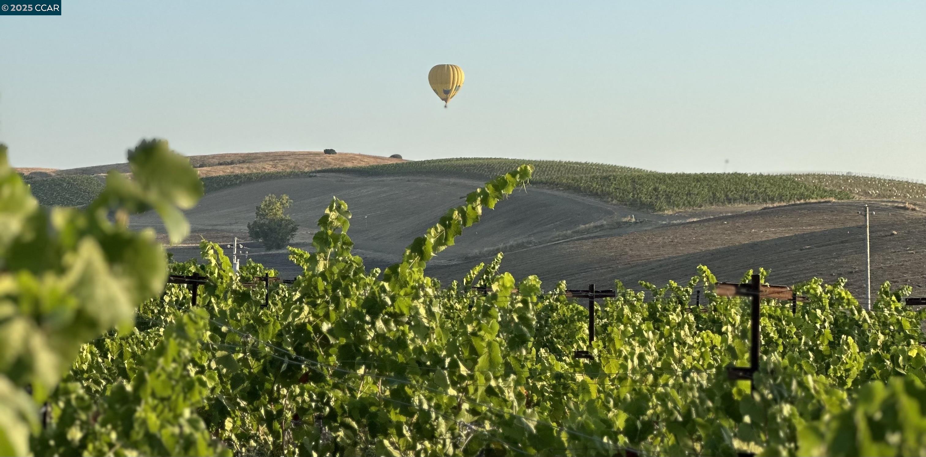 Detail Gallery Image 5 of 59 For 5267 Old Sonoma Rd, Napa,  CA 94559 - 5 Beds | 3/1 Baths