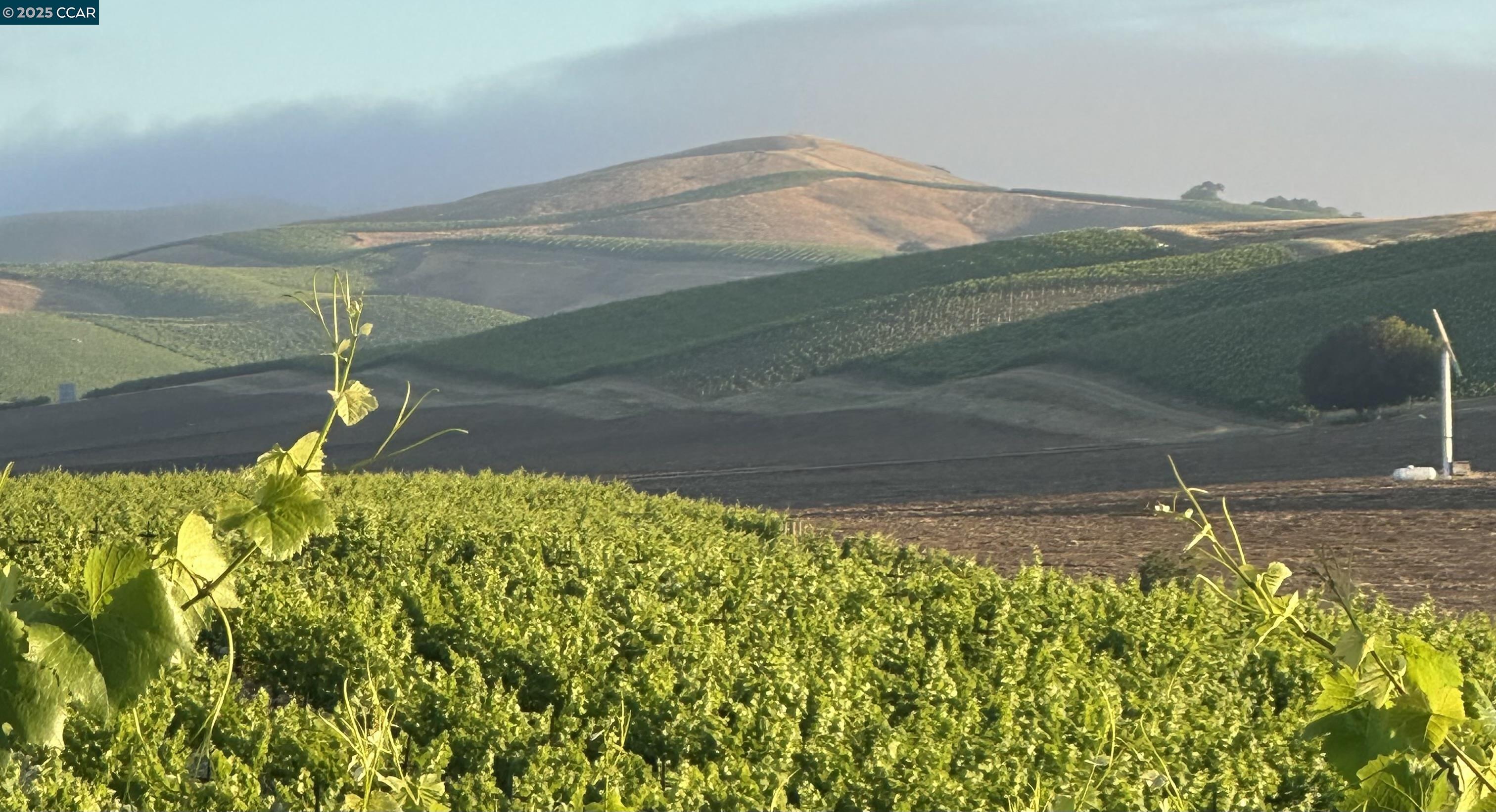 Detail Gallery Image 53 of 59 For 5267 Old Sonoma Rd, Napa,  CA 94559 - 5 Beds | 3/1 Baths
