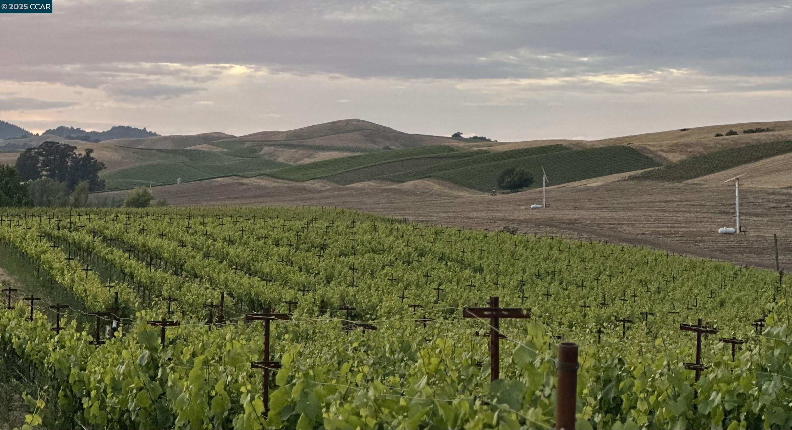 Detail Gallery Image 54 of 59 For 5267 Old Sonoma Rd, Napa,  CA 94559 - 5 Beds | 3/1 Baths