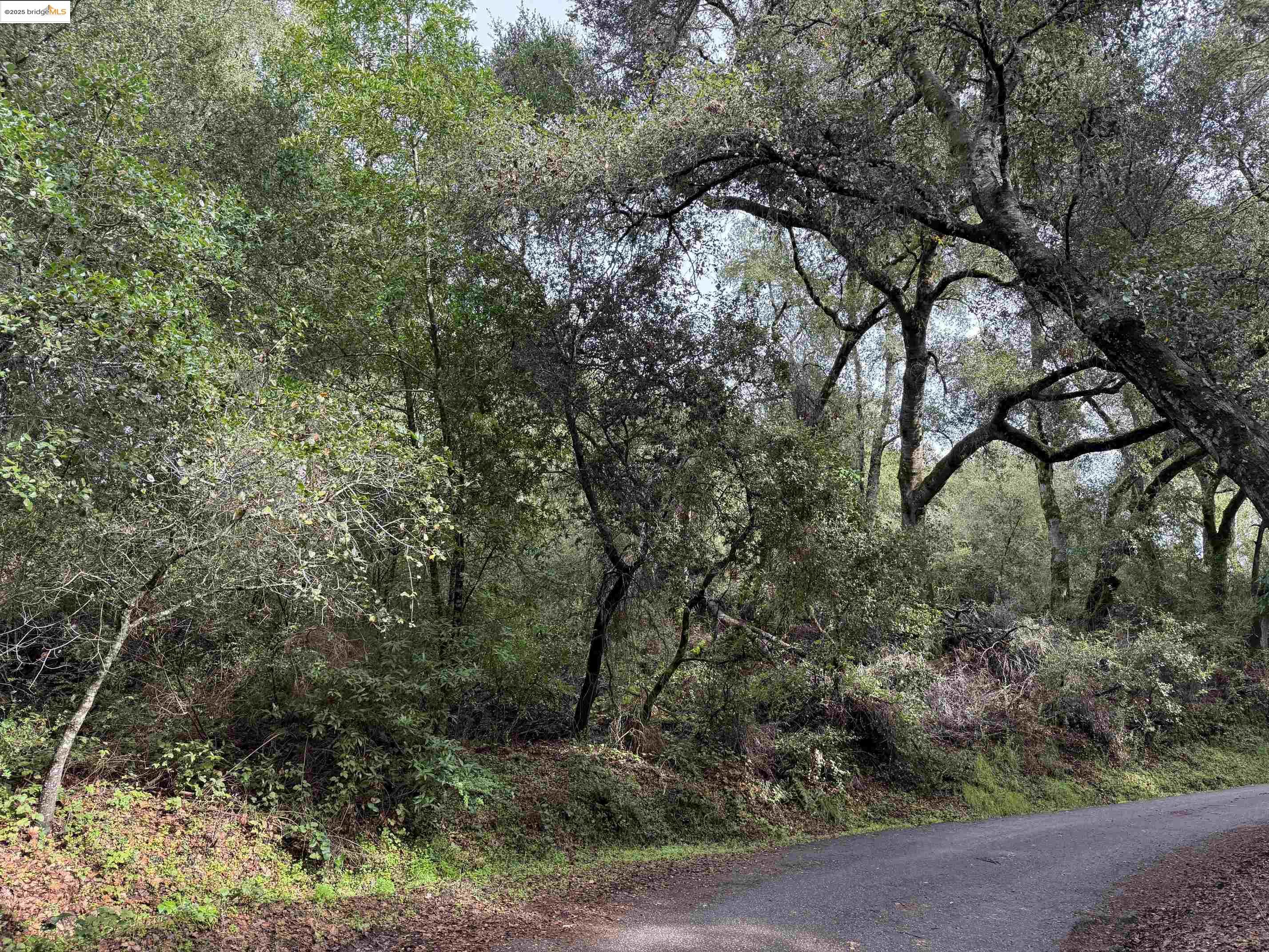 Detail Gallery Image 1 of 4 For 0 Lake Blvd, Felton,  CA 95018 - – Beds | – Baths