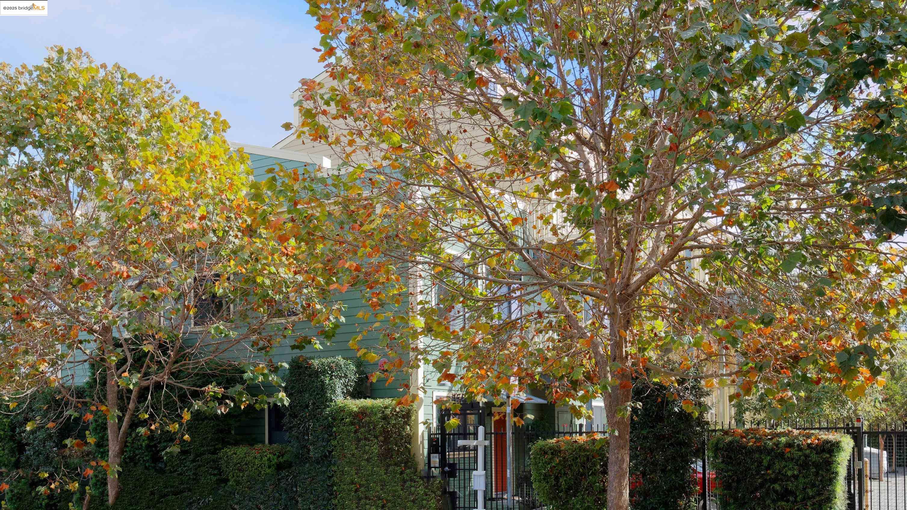 1565 32nd Street # 3, Oakland, California 94608, 2 Bedrooms Bedrooms, 5 Rooms Rooms,2 BathroomsBathrooms,Residential,For Sale,1565 32nd Street # 3,41086101