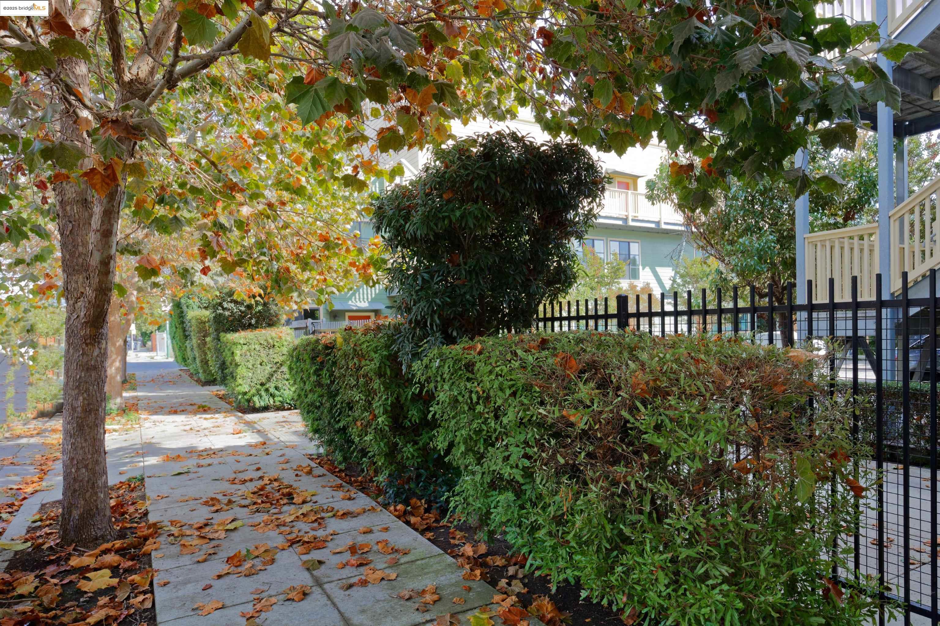 1565 32nd Street # 3, Oakland, California 94608, 2 Bedrooms Bedrooms, 5 Rooms Rooms,2 BathroomsBathrooms,Residential,For Sale,1565 32nd Street # 3,41086101