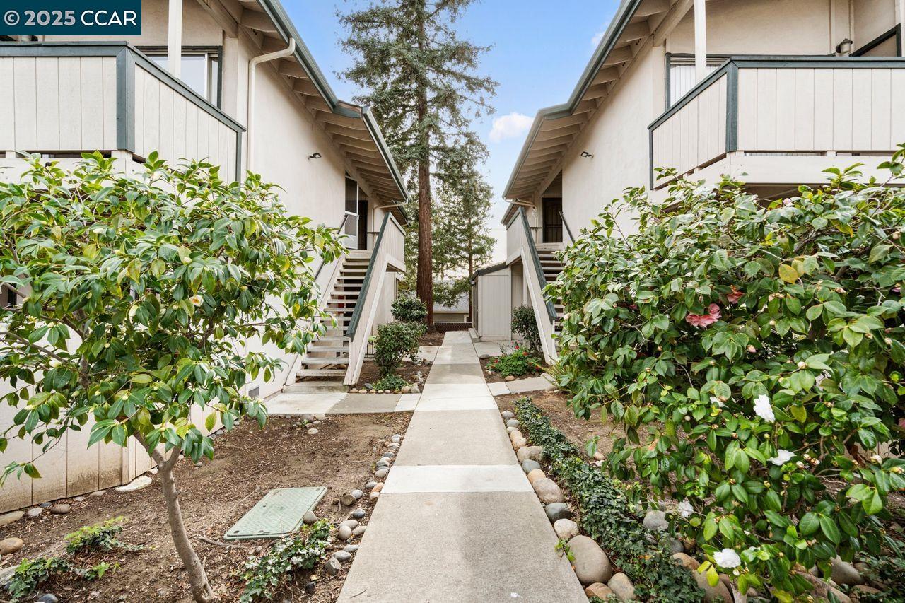Photo #3: 41086147 Listing 