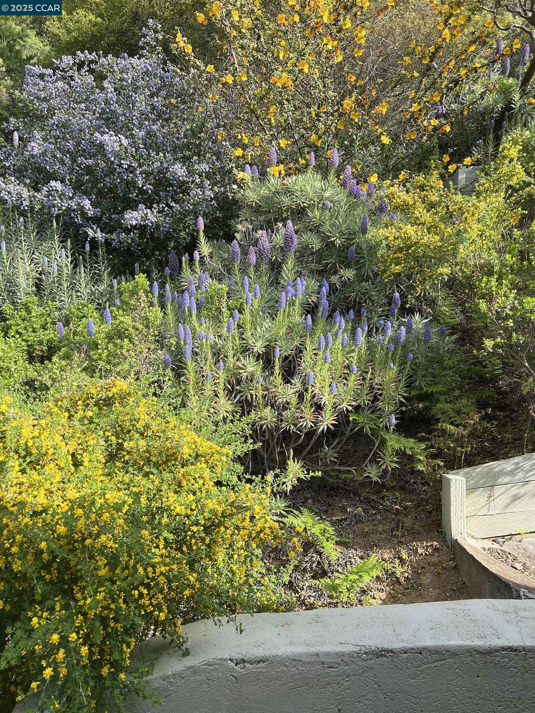 Detail Gallery Image 31 of 38 For 7157 Buckingham Blvd, Berkeley,  CA 94705 - 3 Beds | 3/1 Baths
