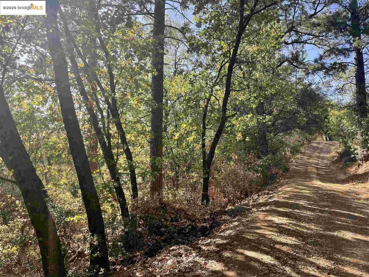 Detail Gallery Image 1 of 3 For 20714 Ponderosa Way, Tuolumne,  CA 95379 - – Beds | – Baths