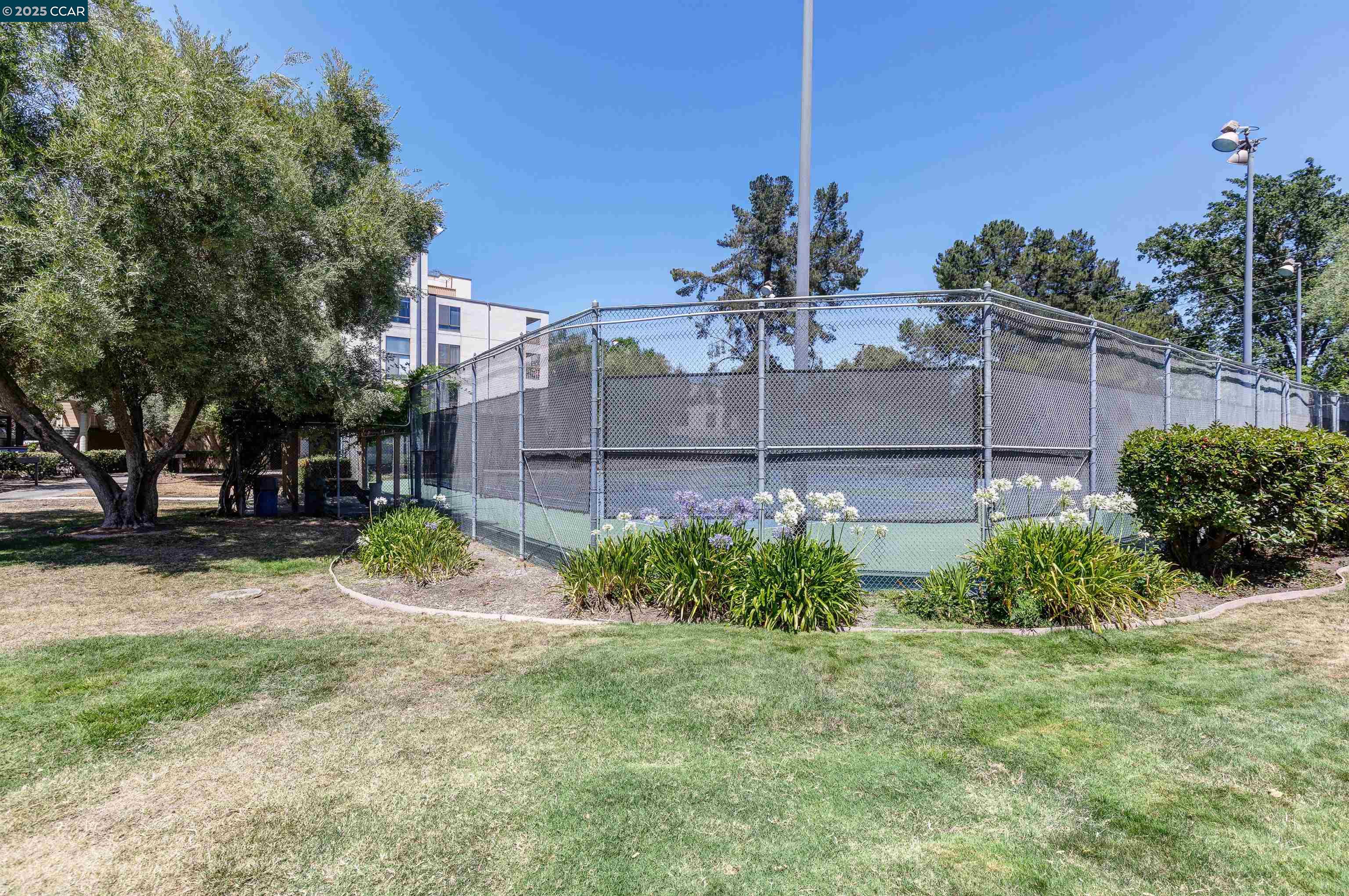 Photo #33: 41086283 Listing: Photo #33