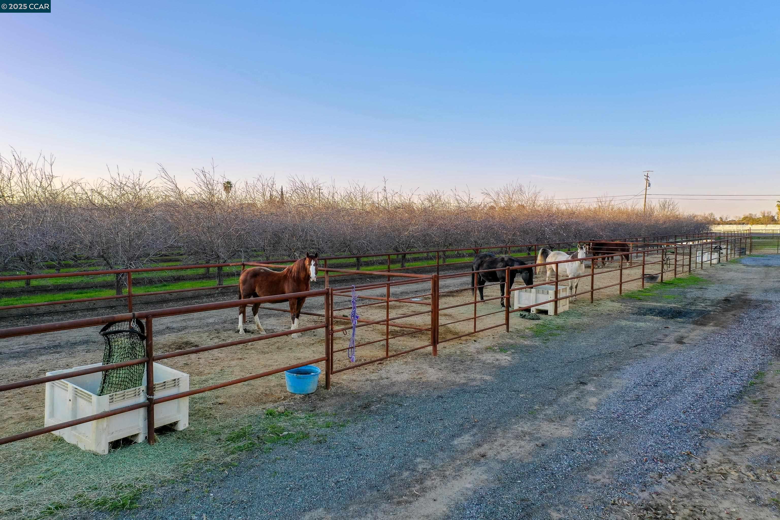 Detail Gallery Image 52 of 60 For 2405 Sunset Rd, Knightsen,  CA 94548 - 5 Beds | 3/1 Baths