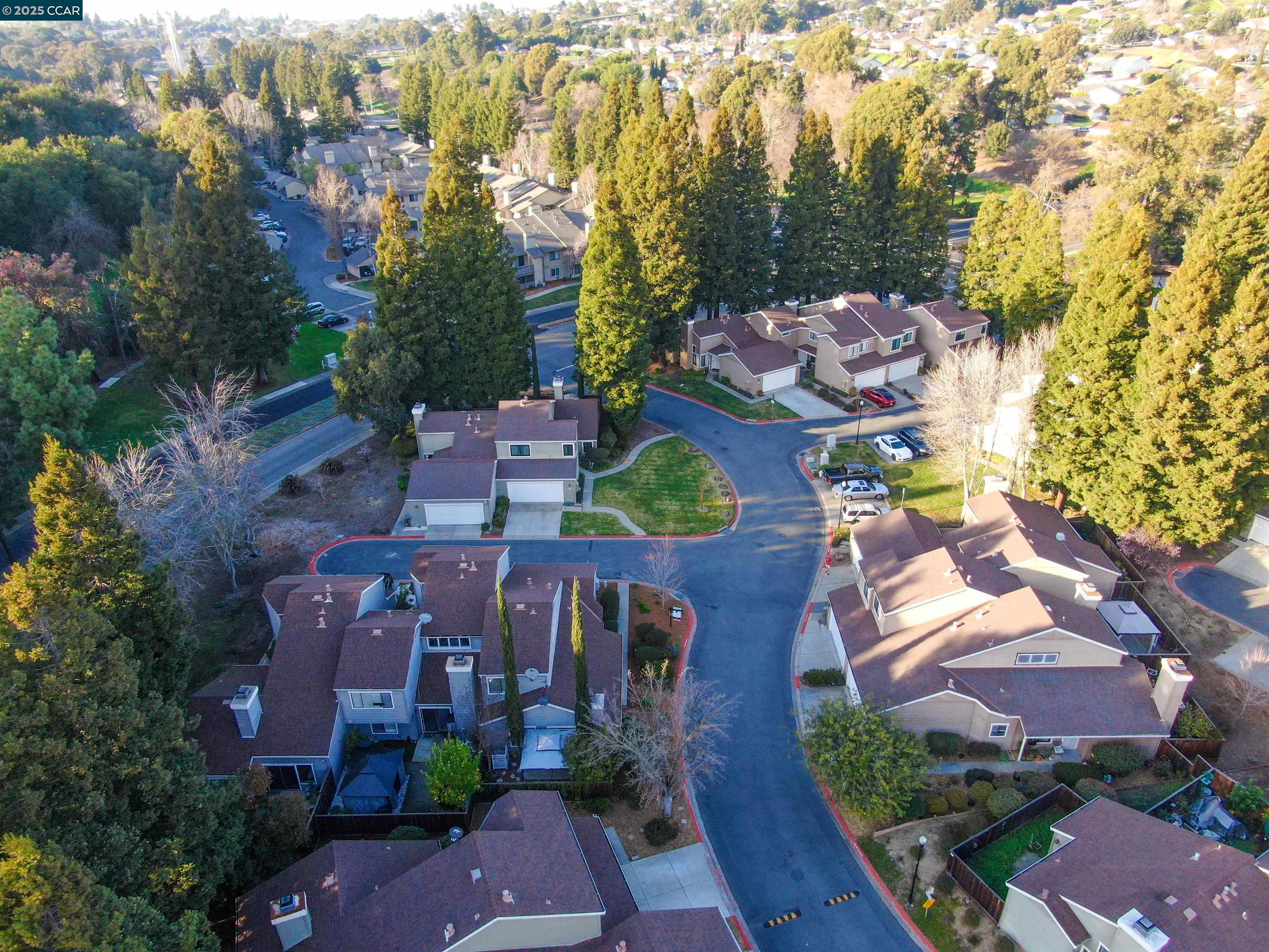 Photo #2: 41086635 Listing 