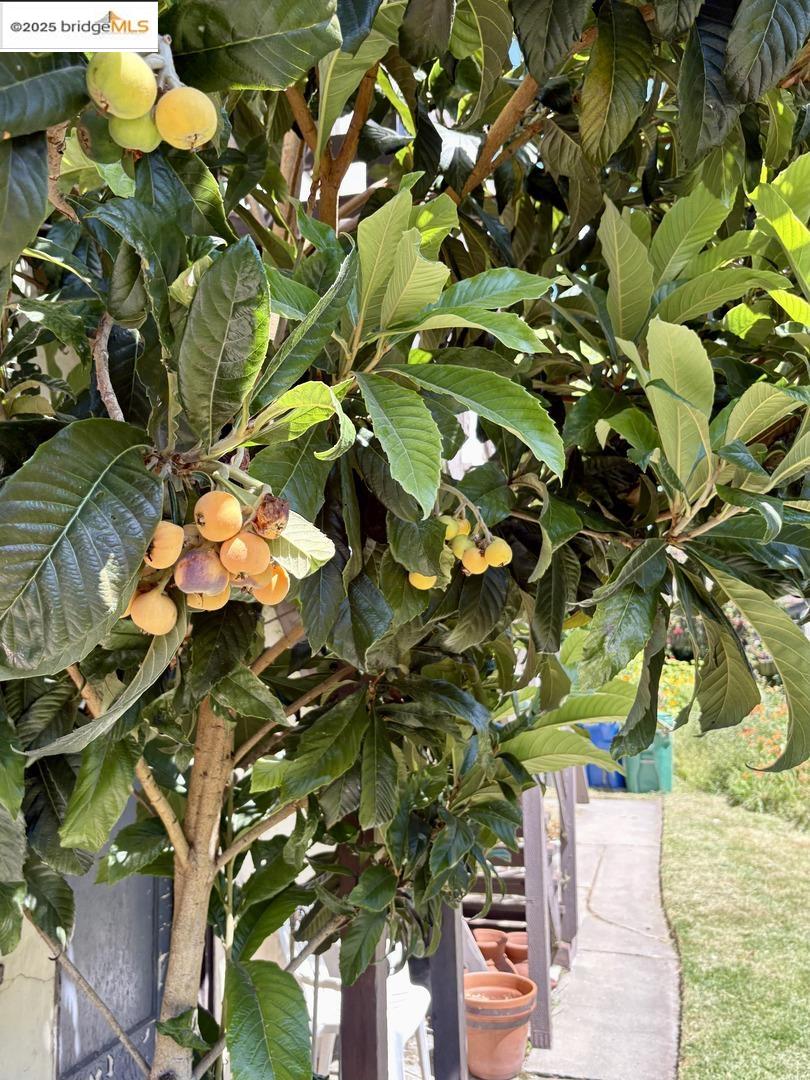 Detail Gallery Image 22 of 24 For 1100 Park Ave, Alameda,  CA 94501 - – Beds | – Baths