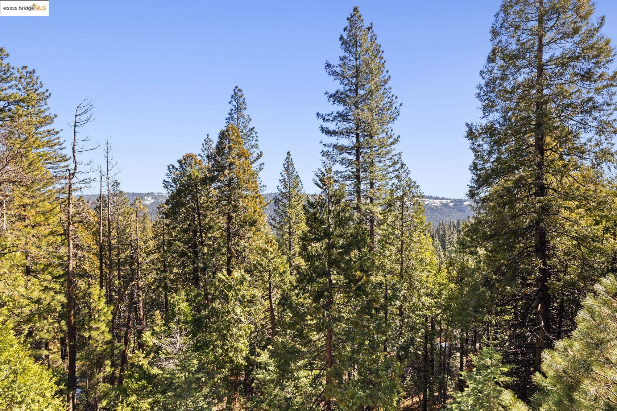 Detail Gallery Image 24 of 51 For 29803 Mono Trl, Cold Springs,  CA 95335 - 4 Beds | 3 Baths