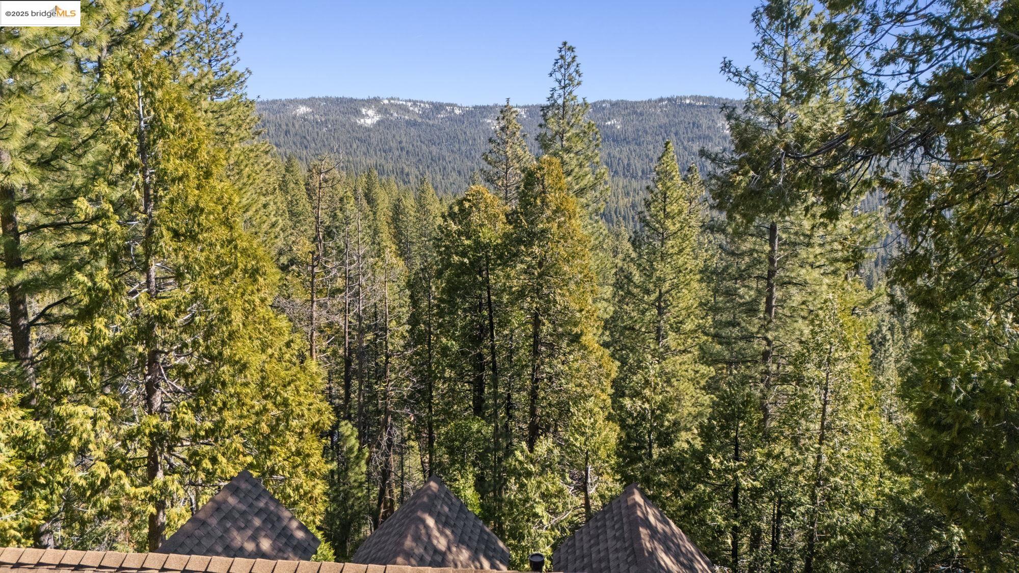Detail Gallery Image 39 of 51 For 29803 Mono Trl, Cold Springs,  CA 95335 - 4 Beds | 3 Baths