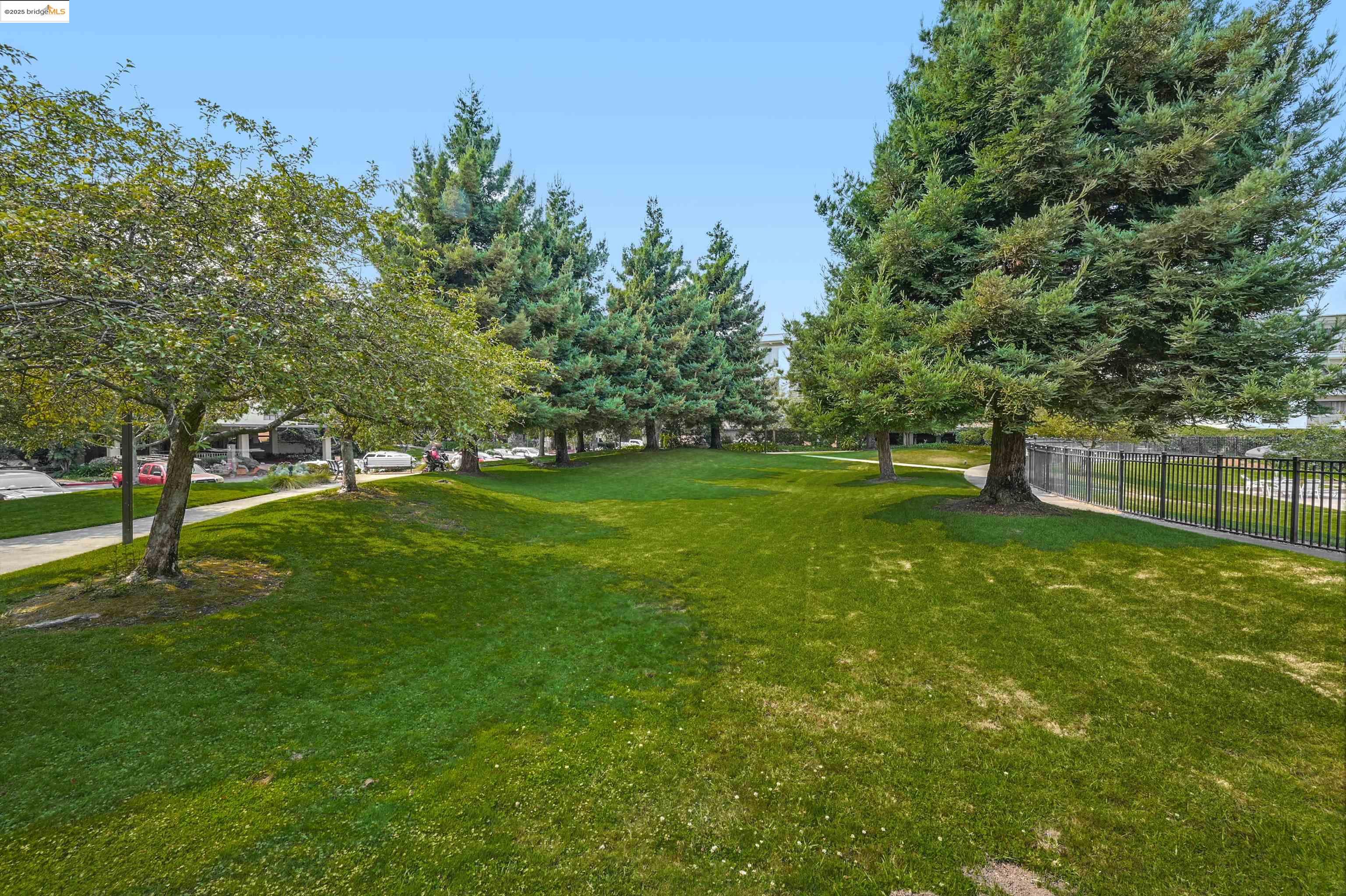 Photo #36: 41087161 Listing: Photo #36