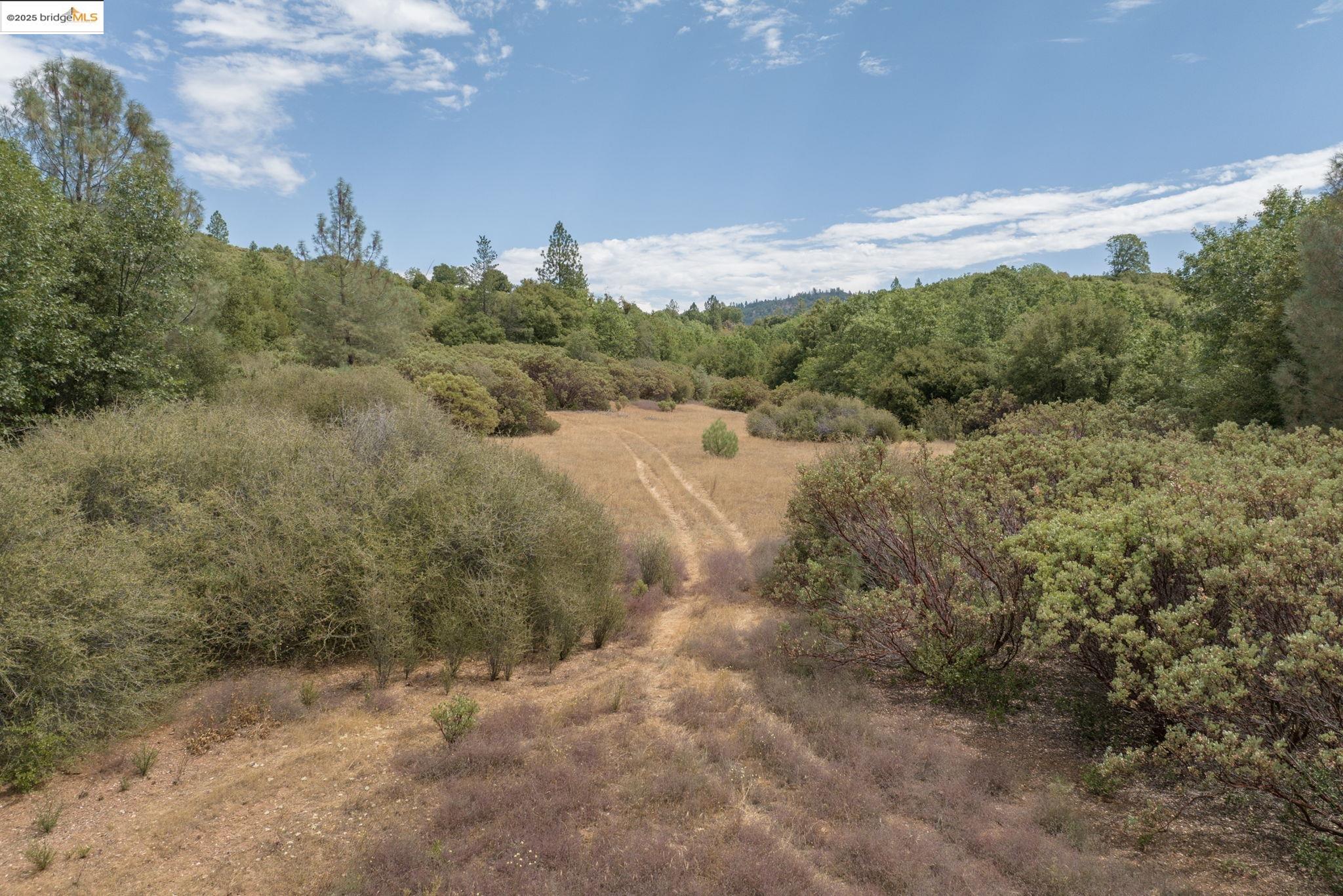 Detail Gallery Image 14 of 15 For Lot #3 Esmeralda Road, Murphys,  CA 95247 - – Beds | – Baths