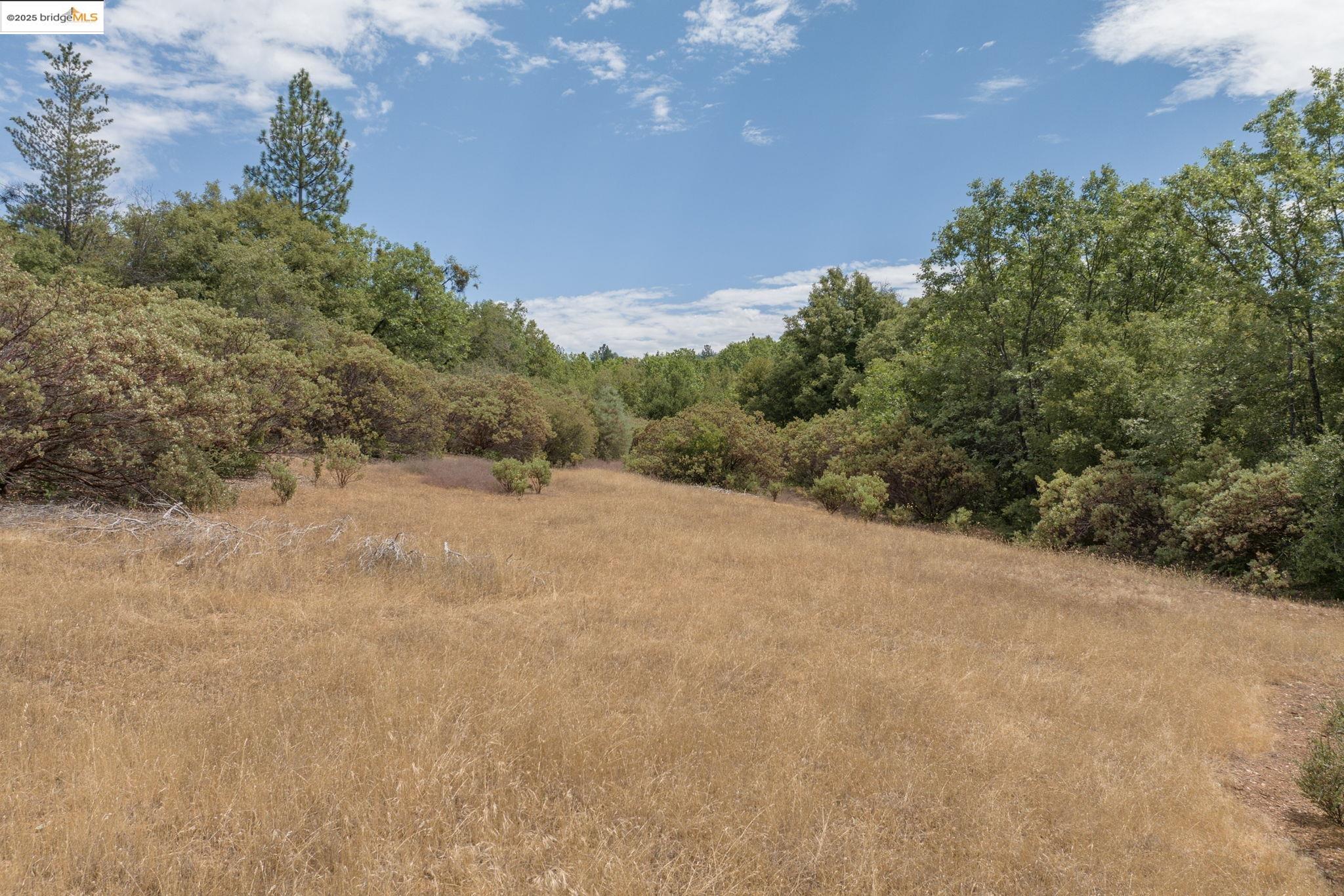 Detail Gallery Image 15 of 15 For Lot #3 Esmeralda Road, Murphys,  CA 95247 - – Beds | – Baths