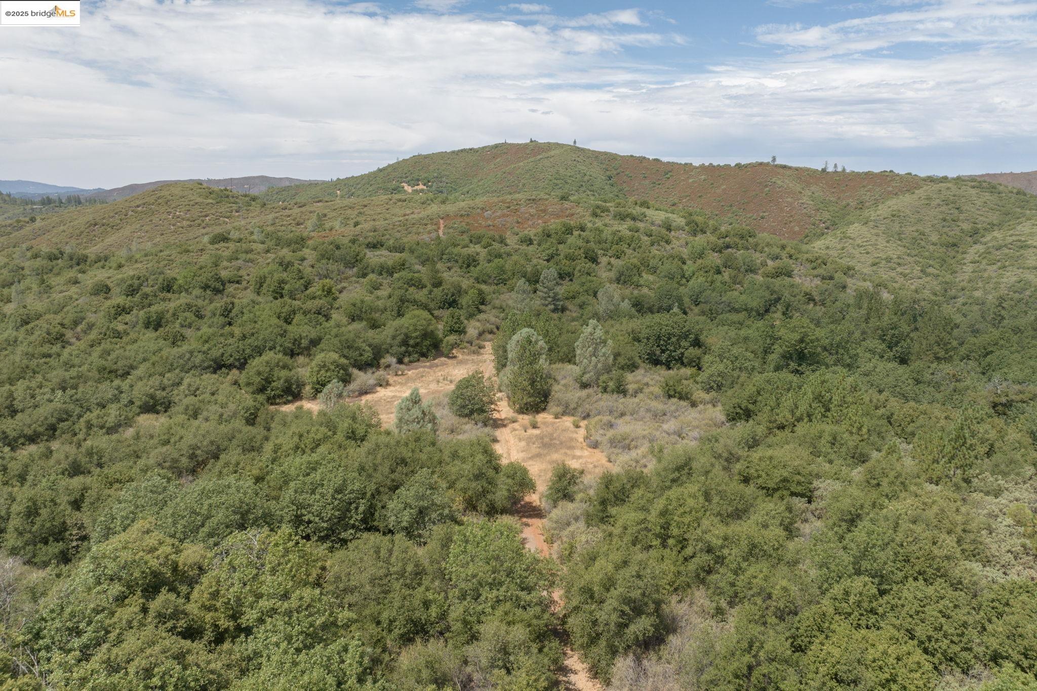 Detail Gallery Image 9 of 15 For Lot #3 Esmeralda Road, Murphys,  CA 95247 - – Beds | – Baths