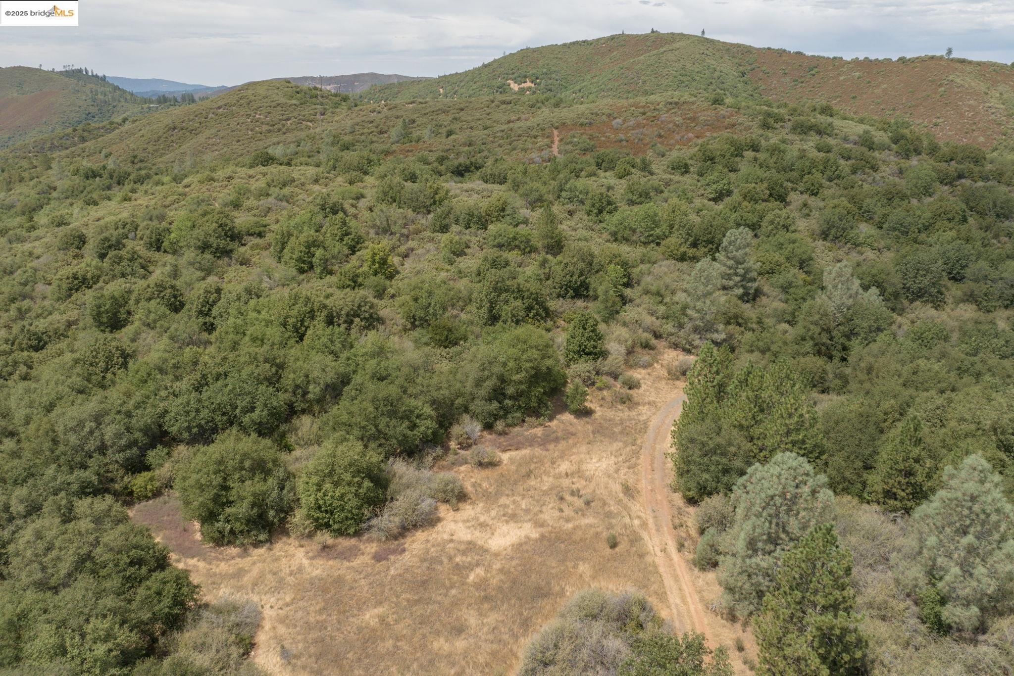 Detail Gallery Image 10 of 15 For Lot #3 Esmeralda Road, Murphys,  CA 95247 - – Beds | – Baths
