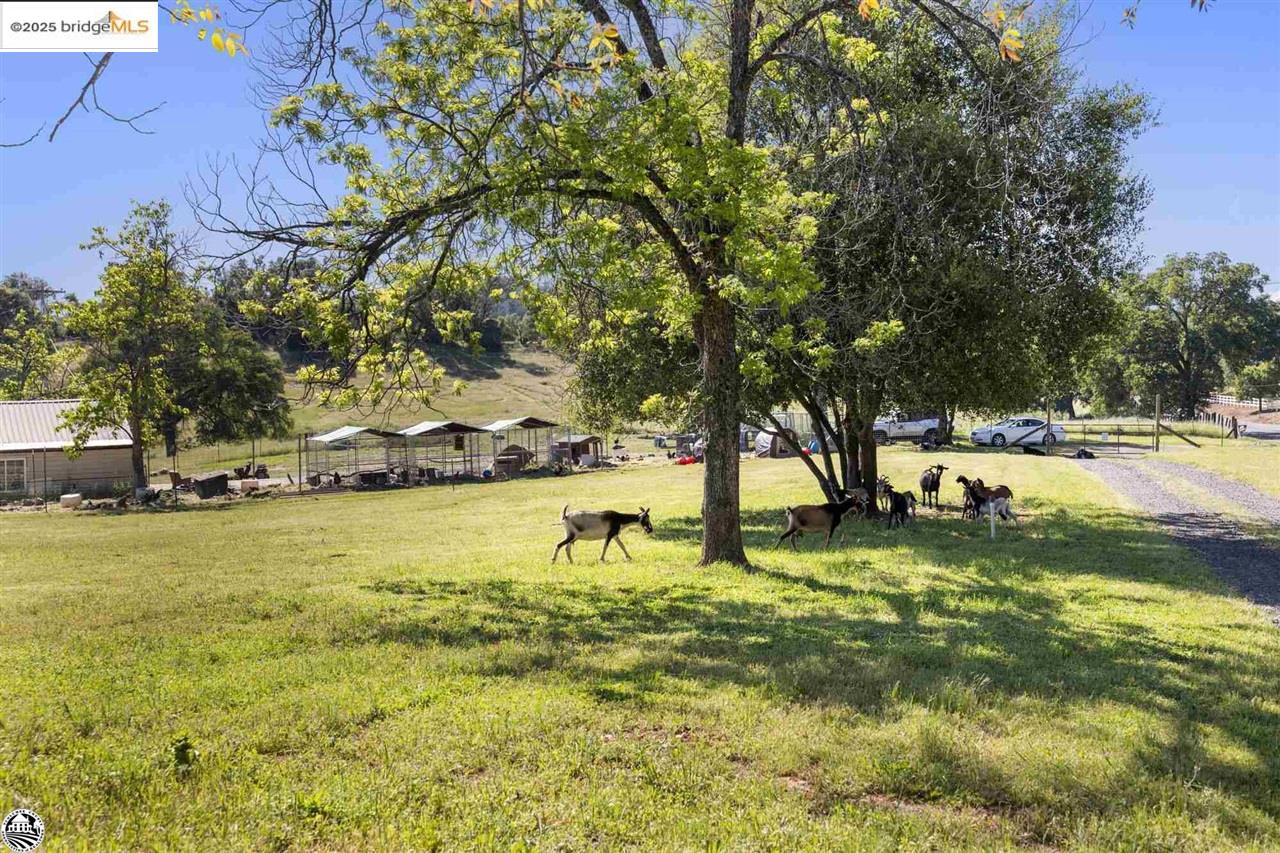 Detail Gallery Image 15 of 37 For 11391 Algerine Rd., Jamestown,  CA 95327 - 1 Beds | 1 Baths