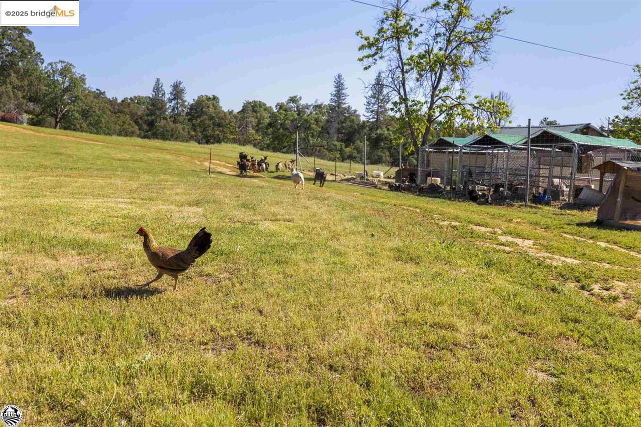 Detail Gallery Image 16 of 37 For 11391 Algerine Rd., Jamestown,  CA 95327 - 1 Beds | 1 Baths