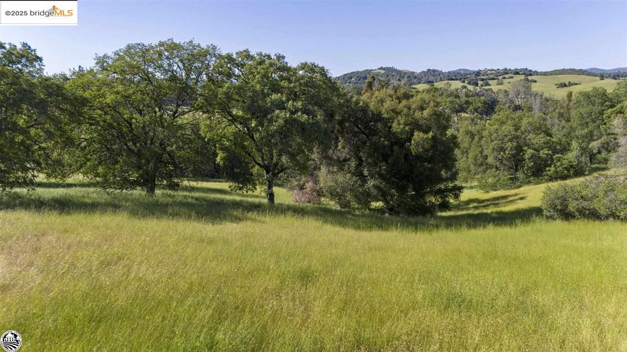 Detail Gallery Image 19 of 37 For 11391 Algerine Rd., Jamestown,  CA 95327 - 1 Beds | 1 Baths
