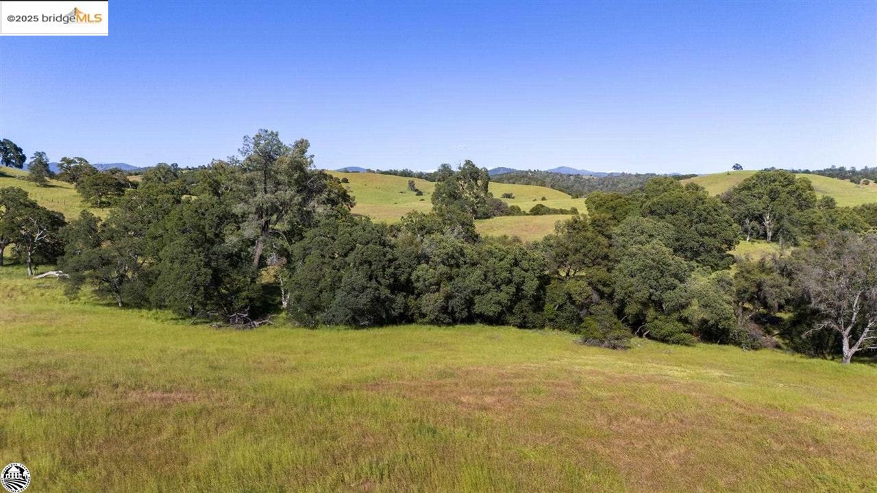 Detail Gallery Image 31 of 37 For 11391 Algerine Rd., Jamestown,  CA 95327 - 1 Beds | 1 Baths