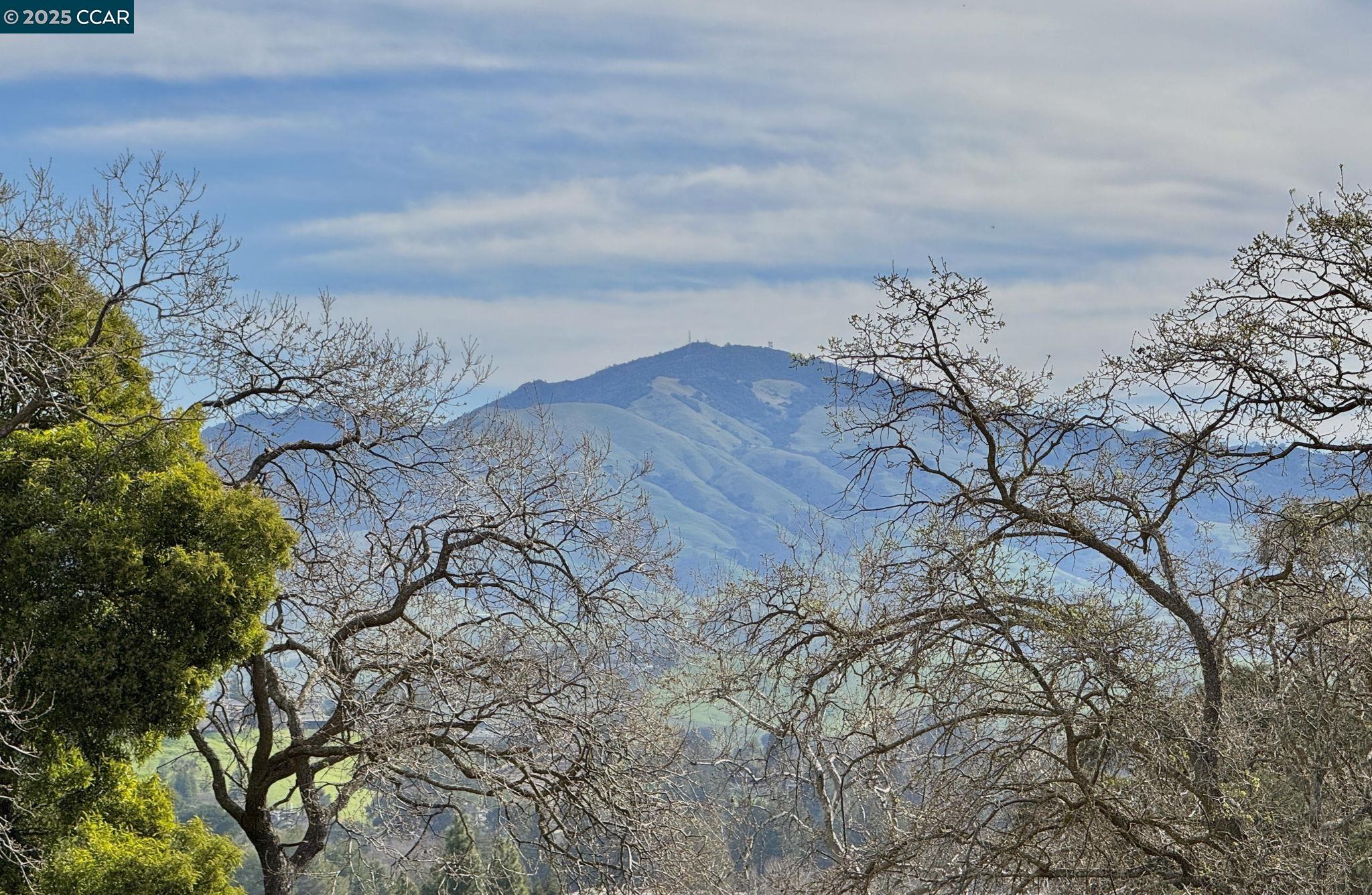 Photo #2: 41087766 Listing 