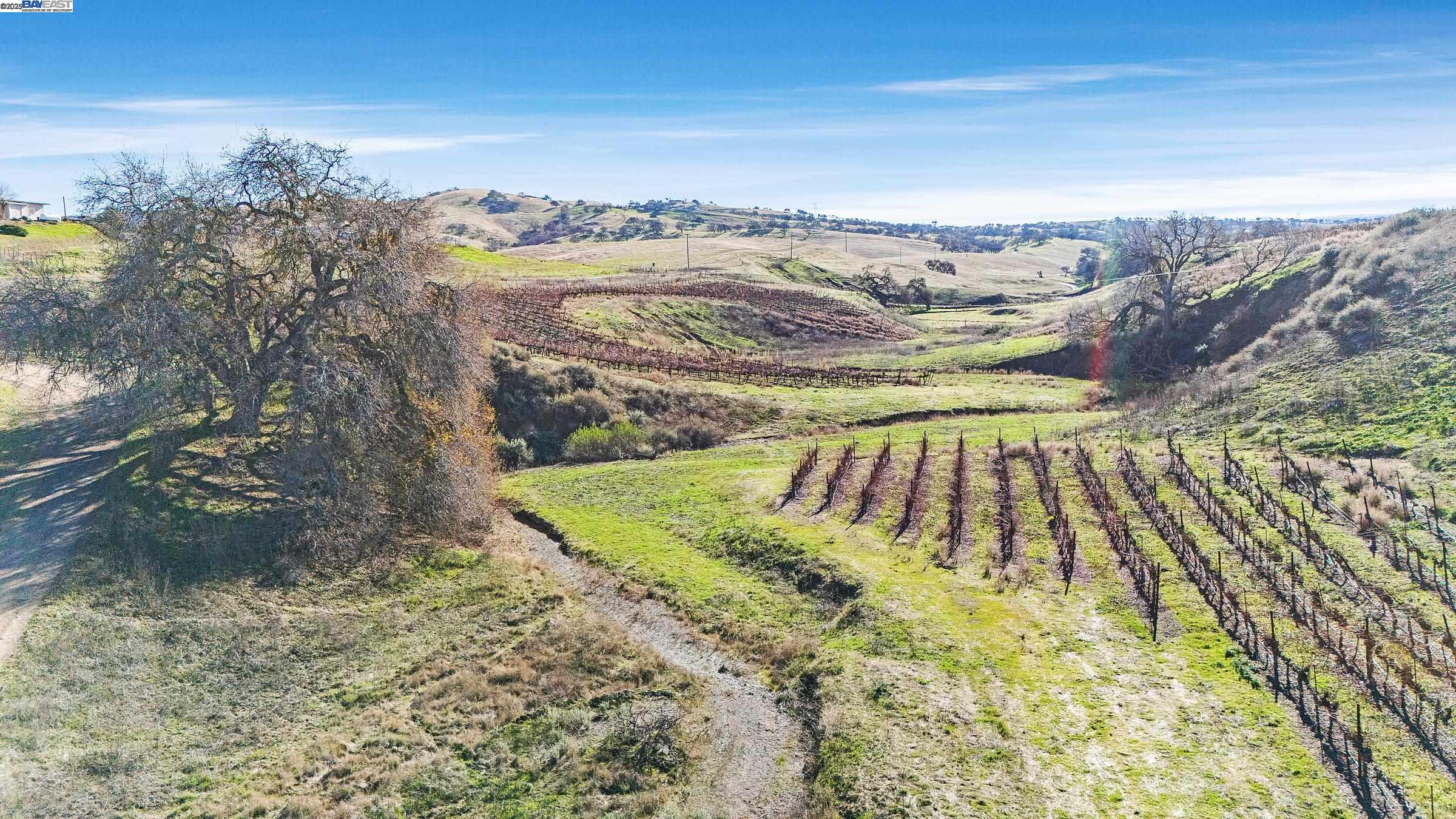10053 Tesla Rd, Livermore, California 94550, ,Land,For Sale,10053 Tesla Rd,41087813