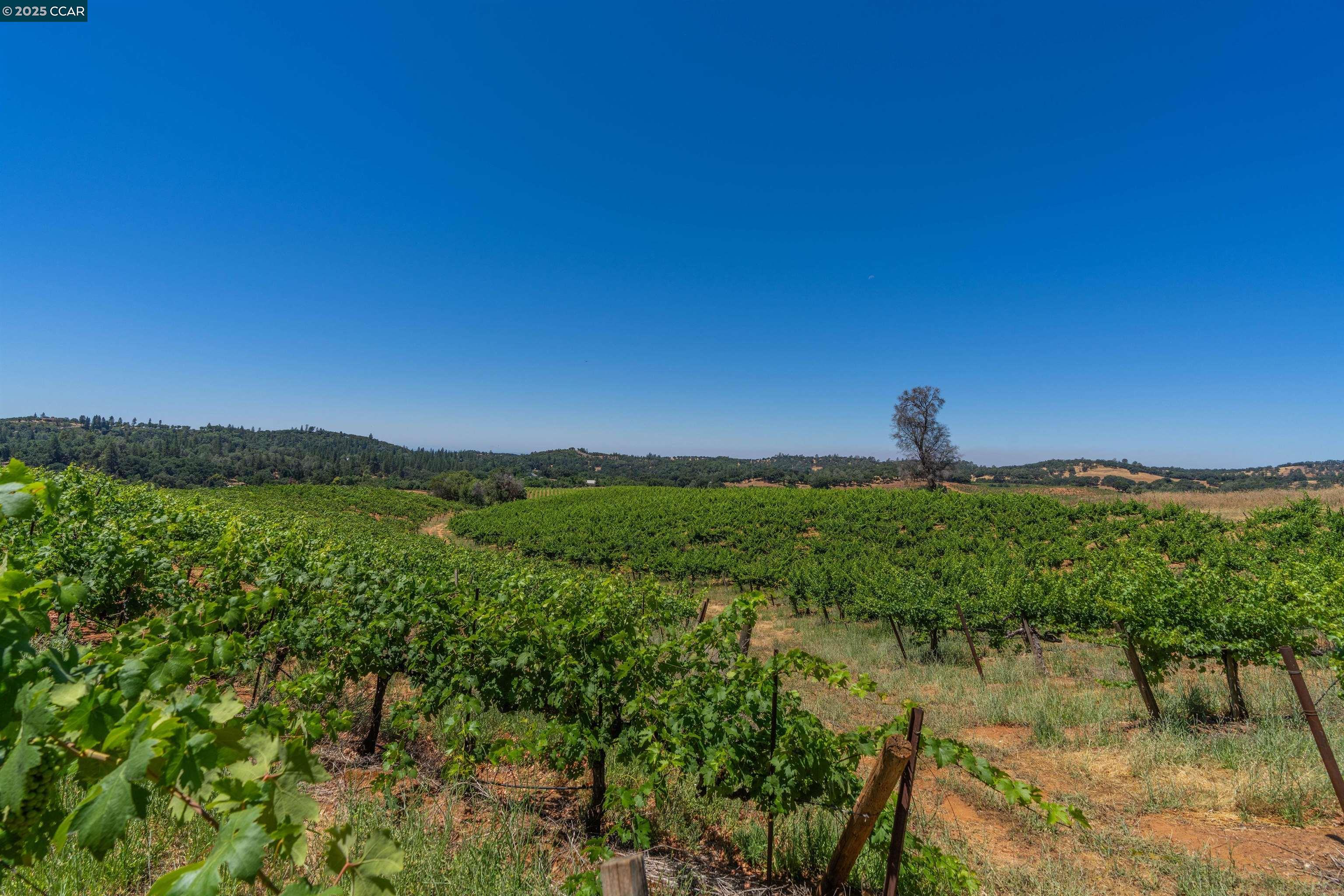 Detail Gallery Image 6 of 14 For 20550 Ostrom Rd., Fiddletown,  CA 95629 - – Beds | – Baths