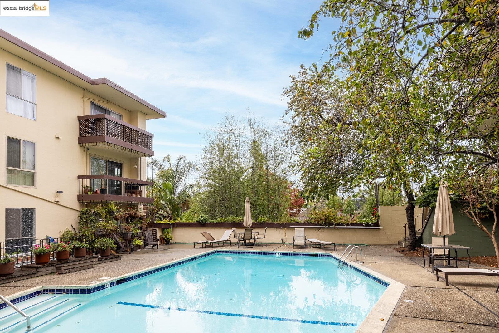 Photo #25: 41087987 Listing: Photo #25