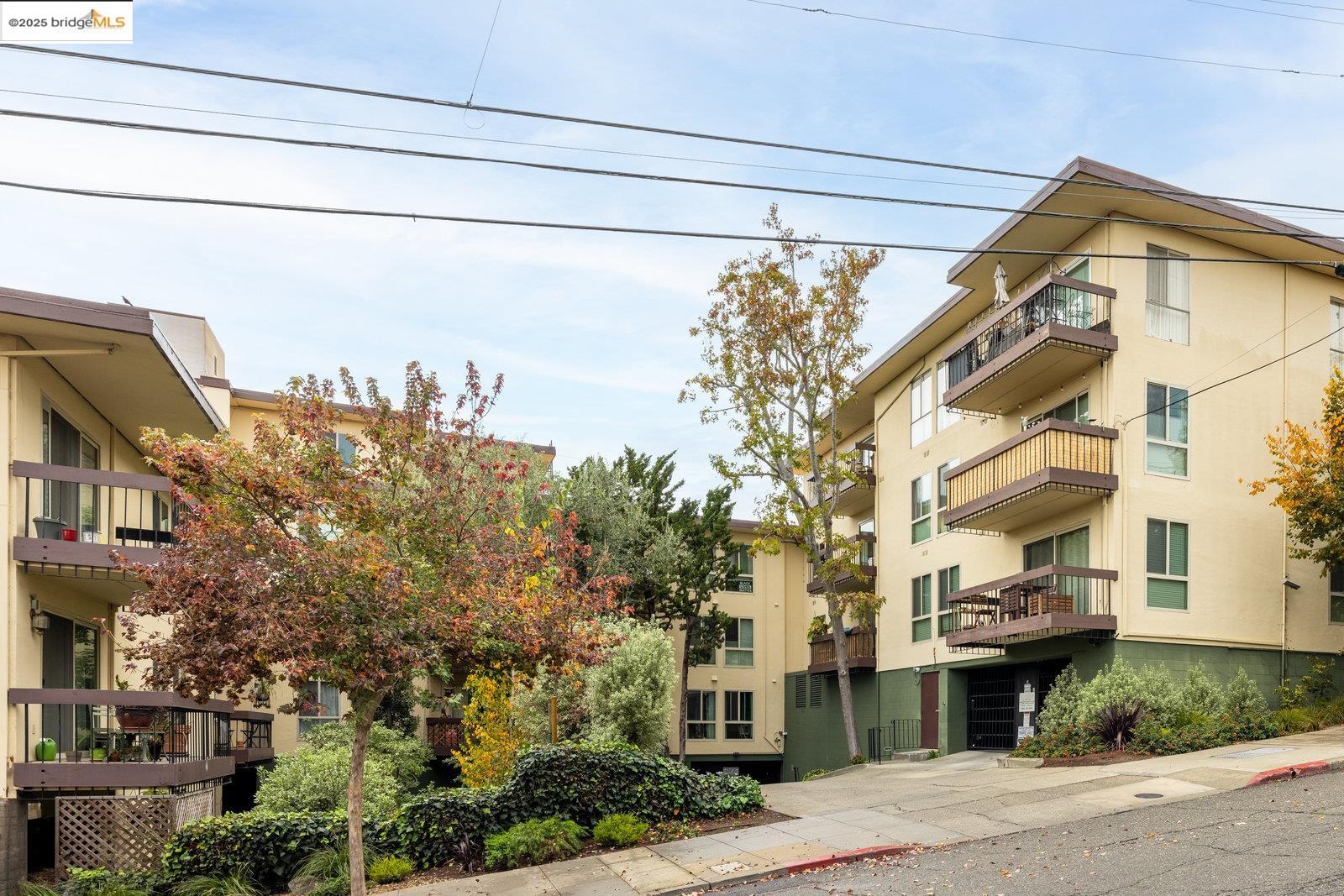 Photo #27: 41087987 Listing: Photo #27