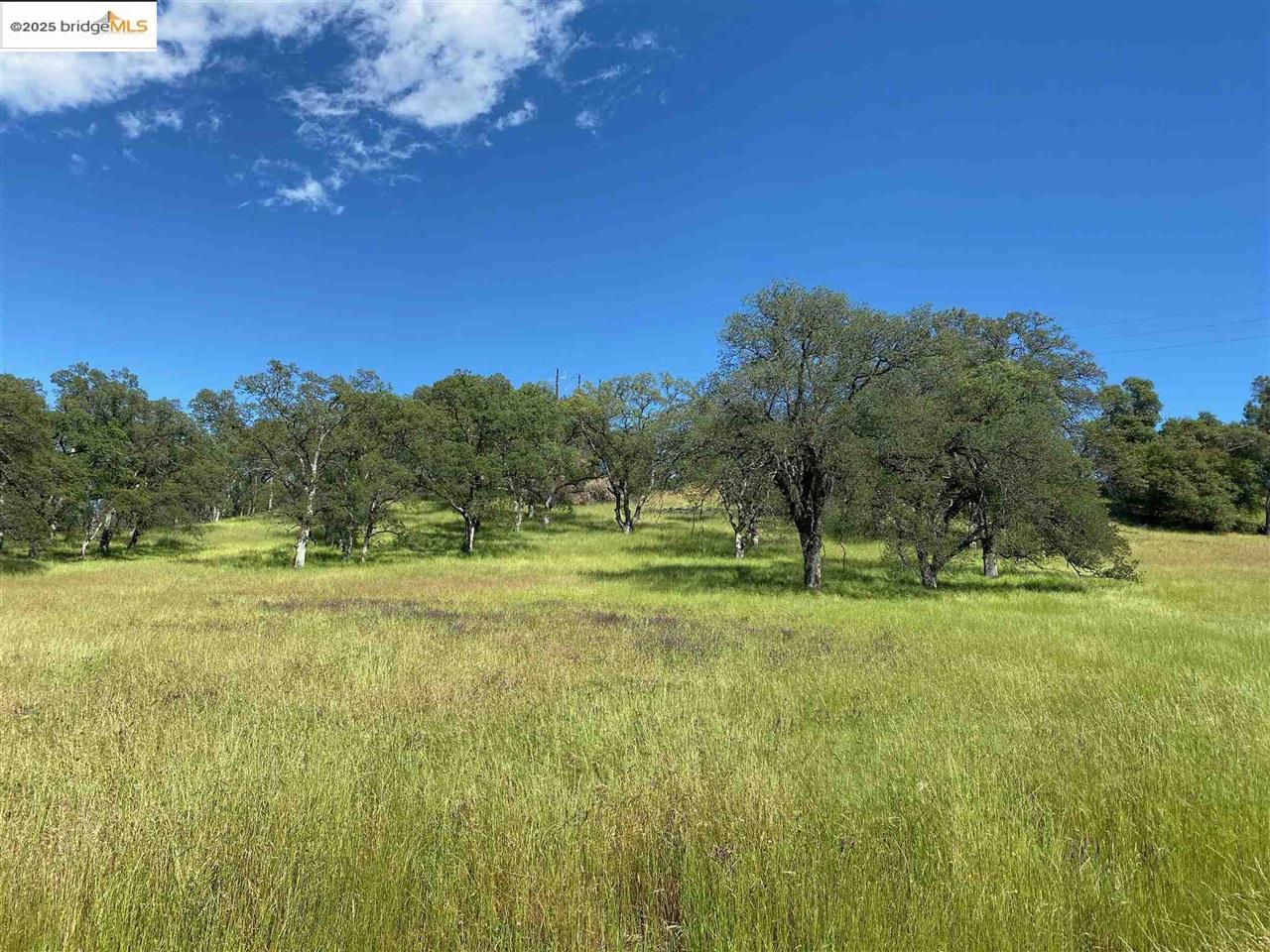 Detail Gallery Image 2 of 60 For 15653 Hwy 108, Jamestown,  CA 95327 - 2 Beds | 1 Baths