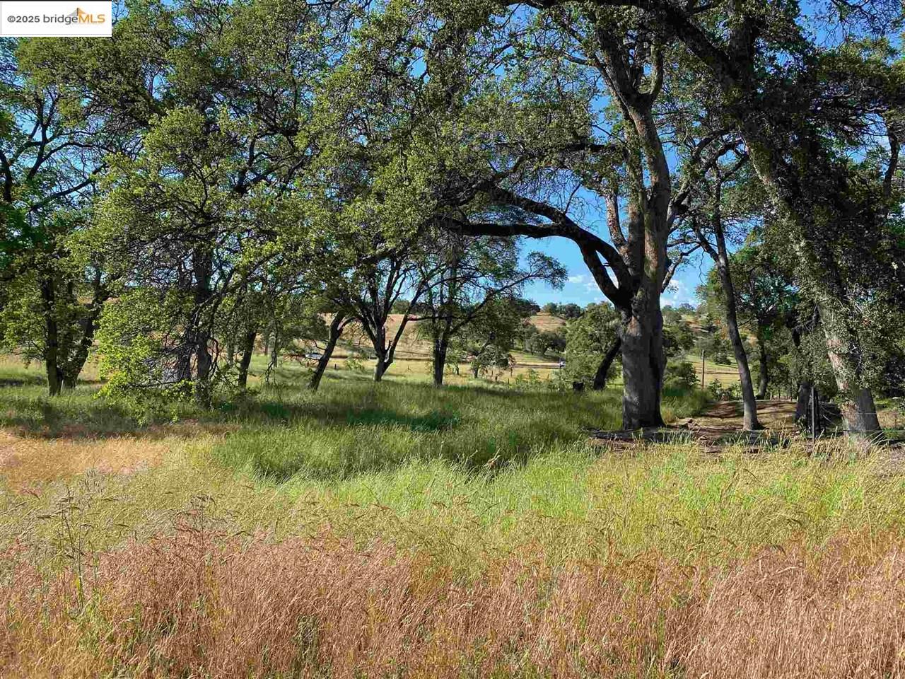 Detail Gallery Image 51 of 60 For 15653 Hwy 108, Jamestown,  CA 95327 - 2 Beds | 1 Baths