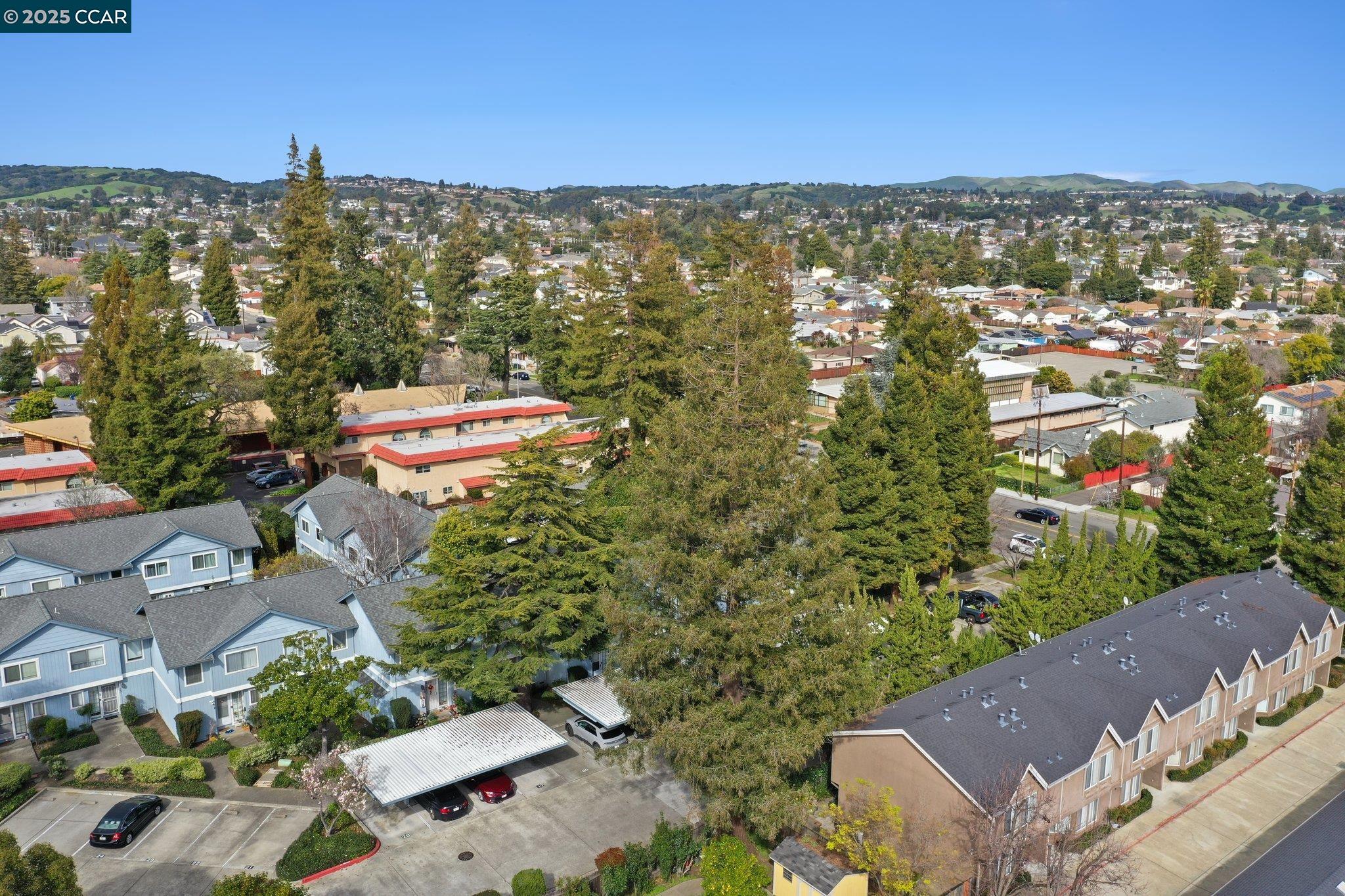 Detail Gallery Image 19 of 22 For 20115 Redwood Rd #6,  Castro Valley,  CA 94546 - 2 Beds | 2/1 Baths