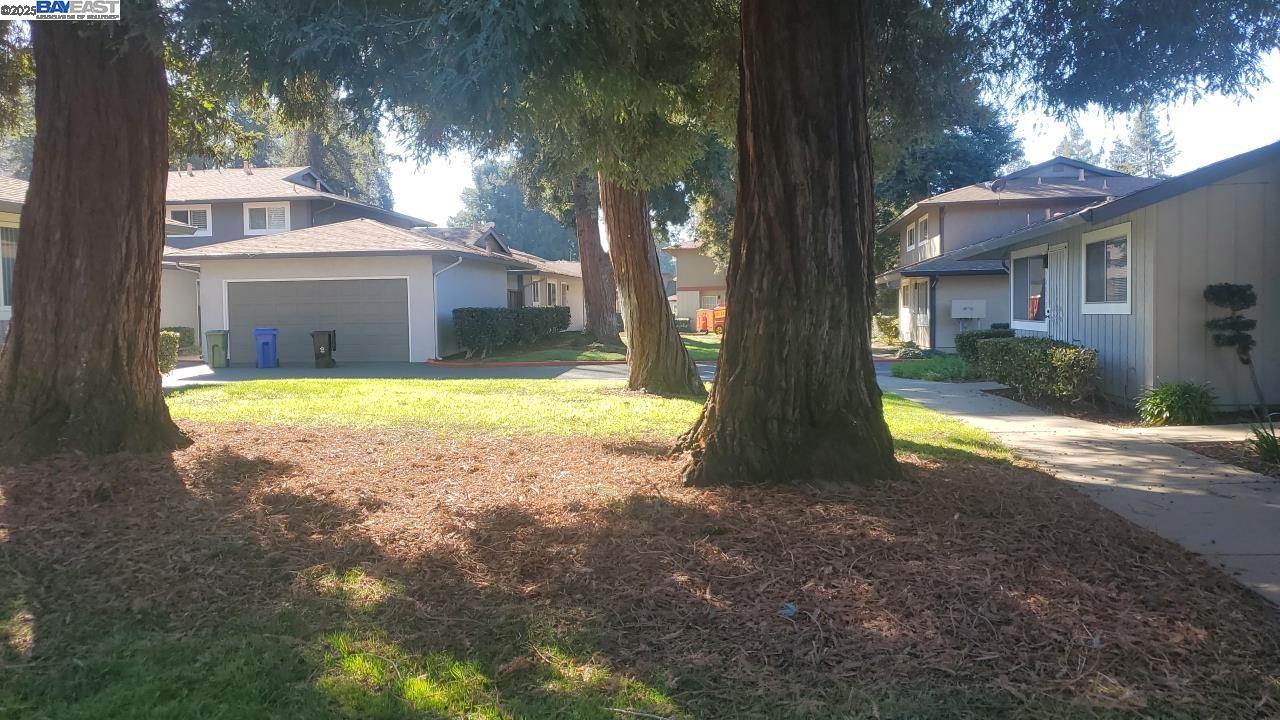 Photo #33: 41088422 Listing: Photo #33