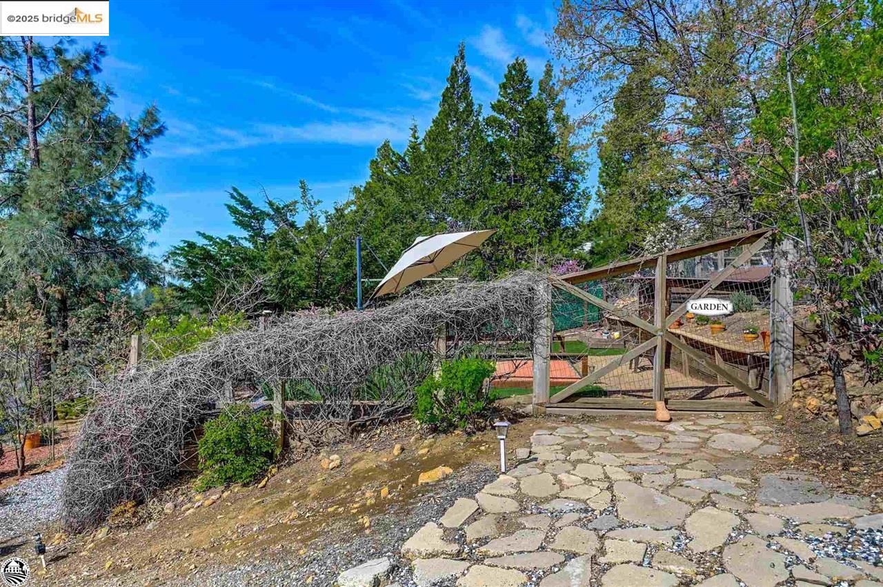 Detail Gallery Image 20 of 48 For 494 Larkspur Ct., Murphys,  CA 95247-9480 - 4 Beds | 3 Baths